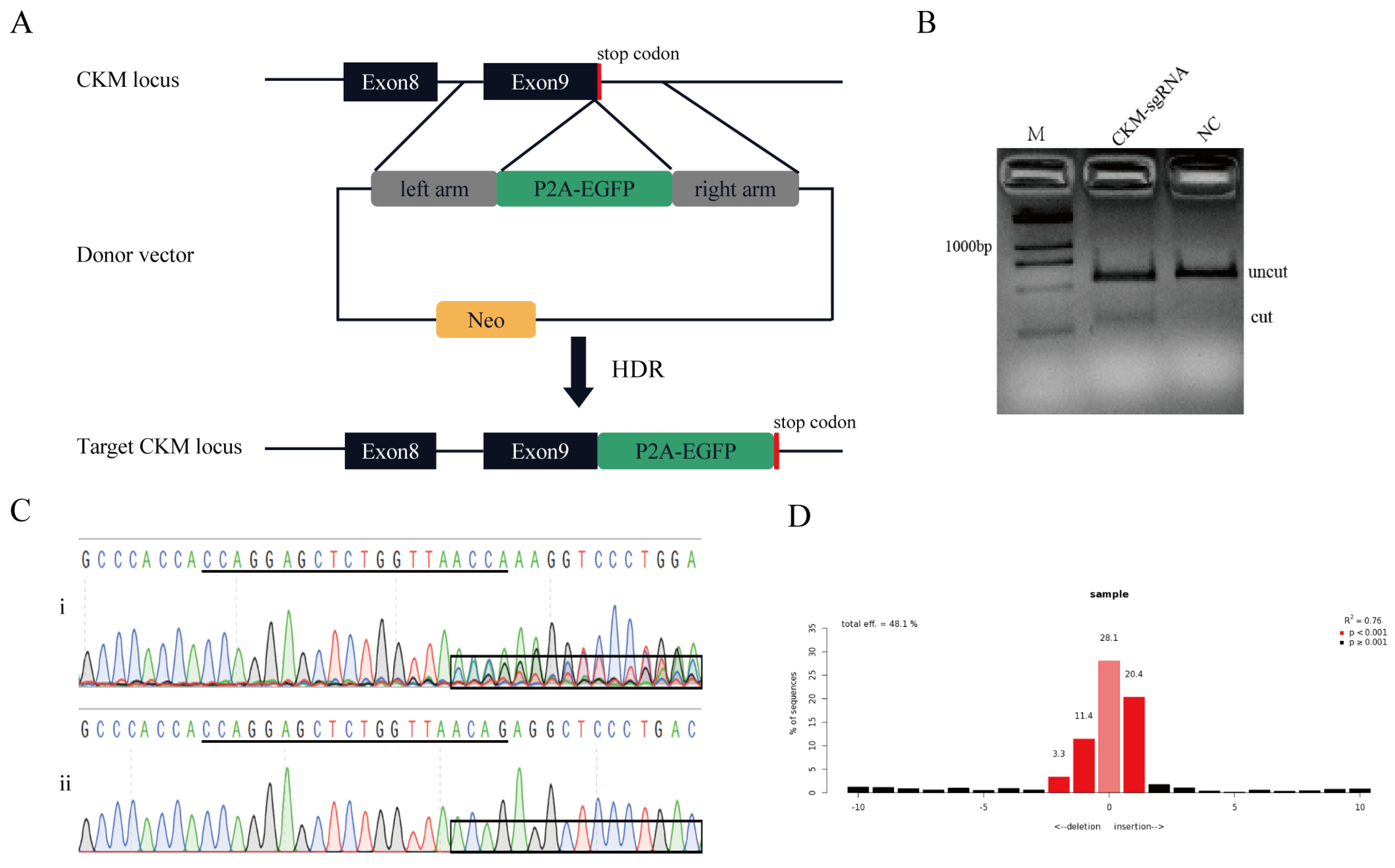 Genes 13 00921 g002 550