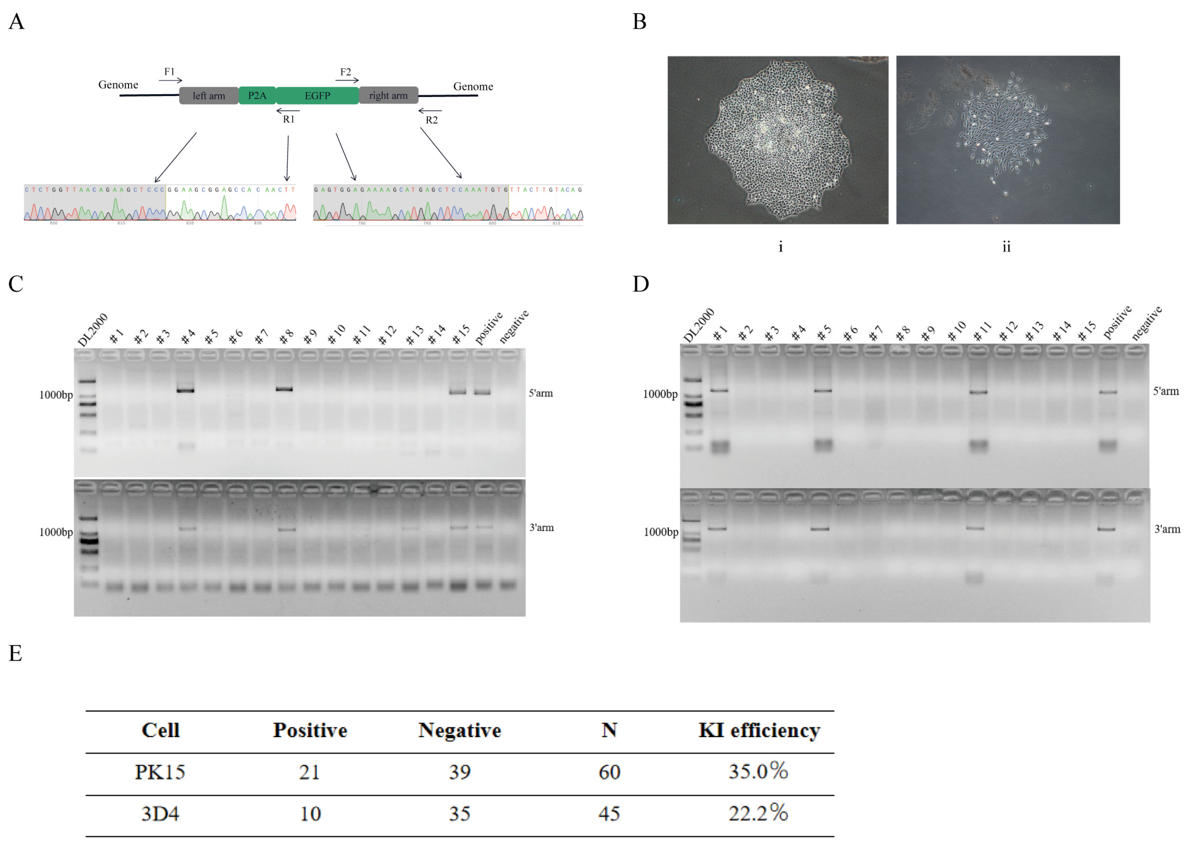 Genes 13 00921 g003 550