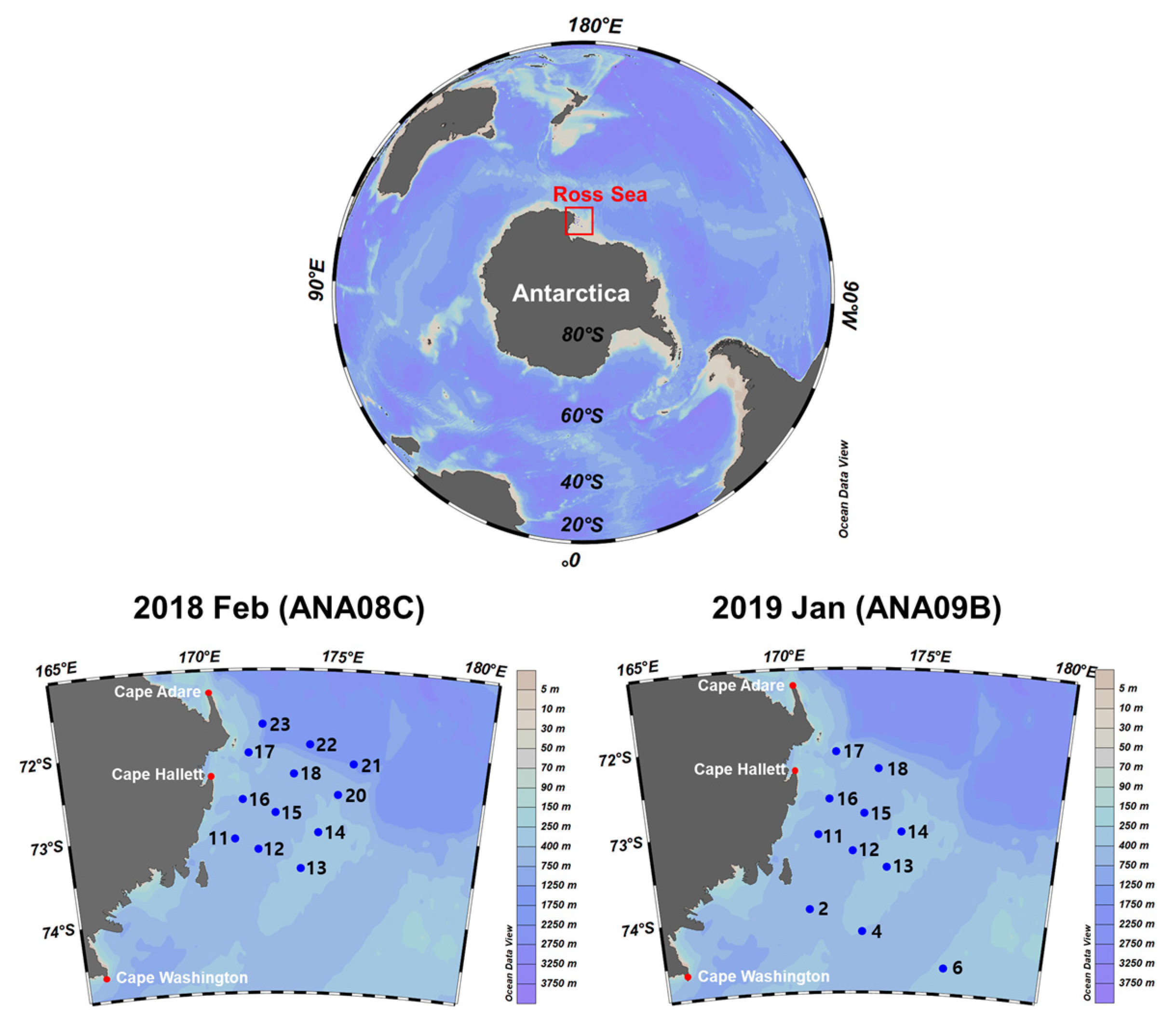 Genes 13 00922 g001 Genes 13 00922 g001