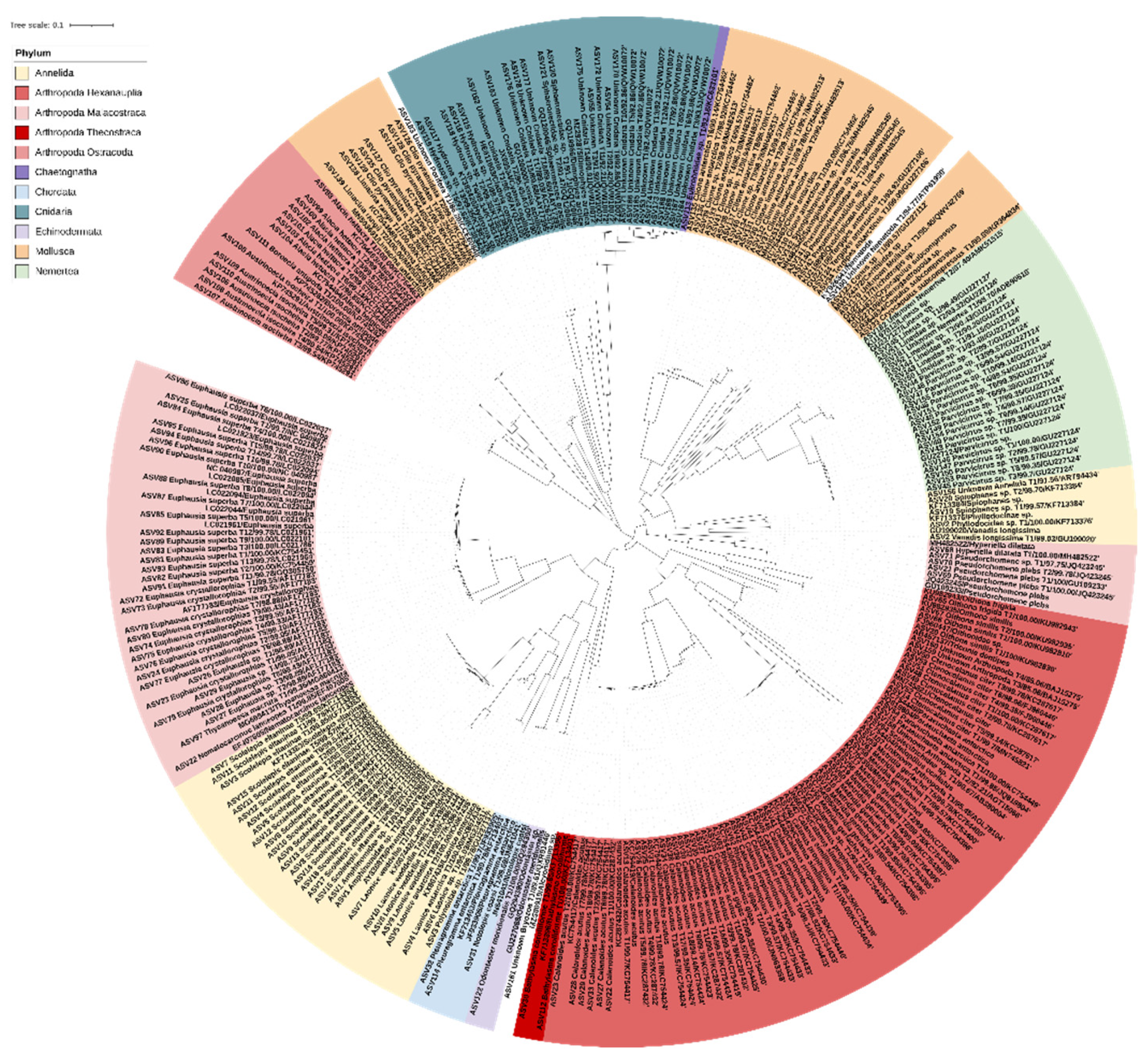 Genes 13 00922 g003 Genes 13 00922 g003