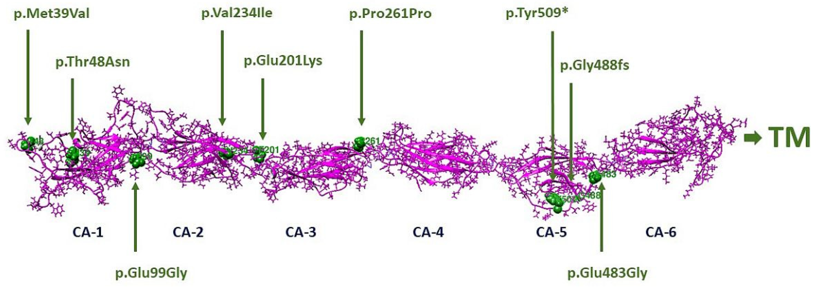 Genes 13 00925 g001 550