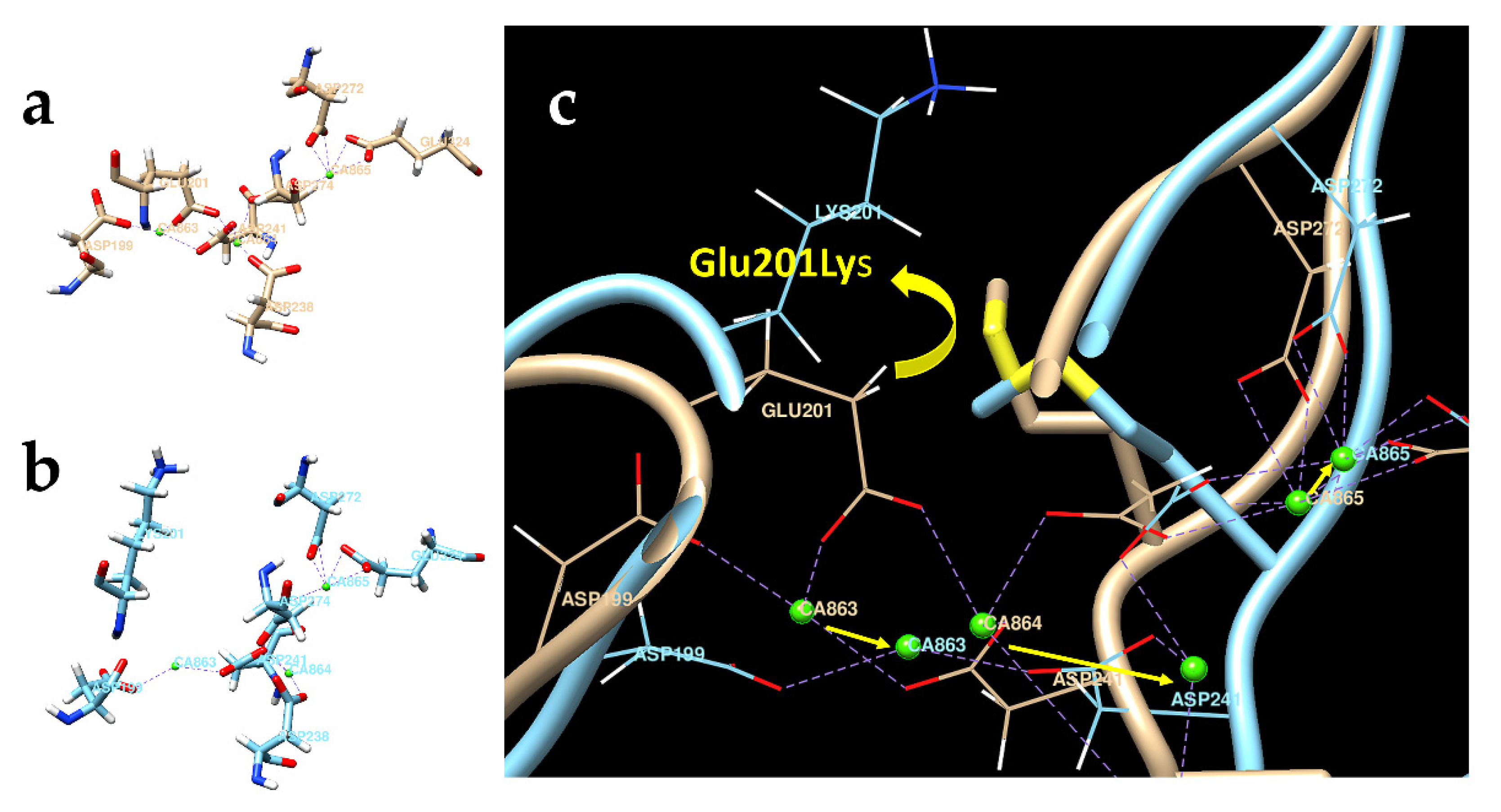 Genes 13 00925 g005 550