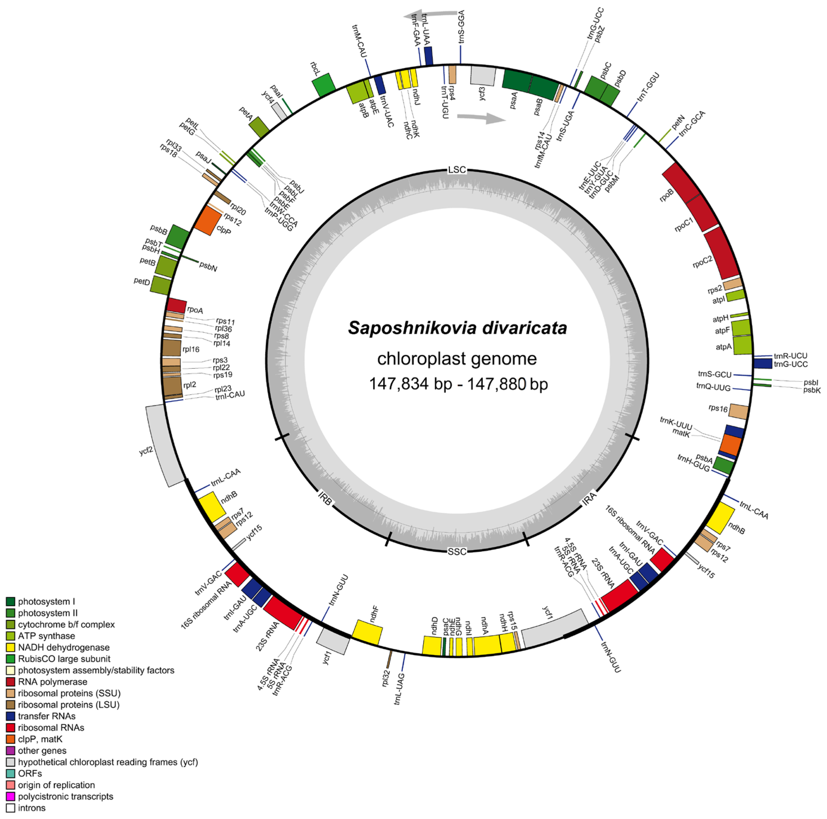 Genes 13 00931 g001 Genes 13 00931 g001