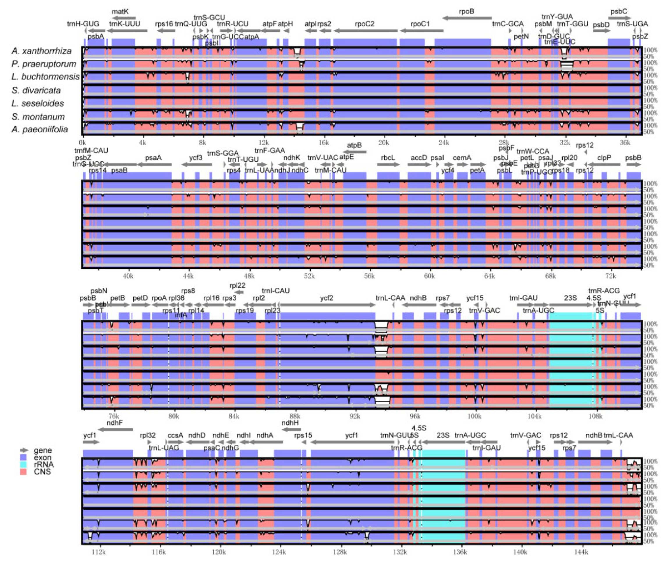 Genes 13 00931 g004 Genes 13 00931 g004