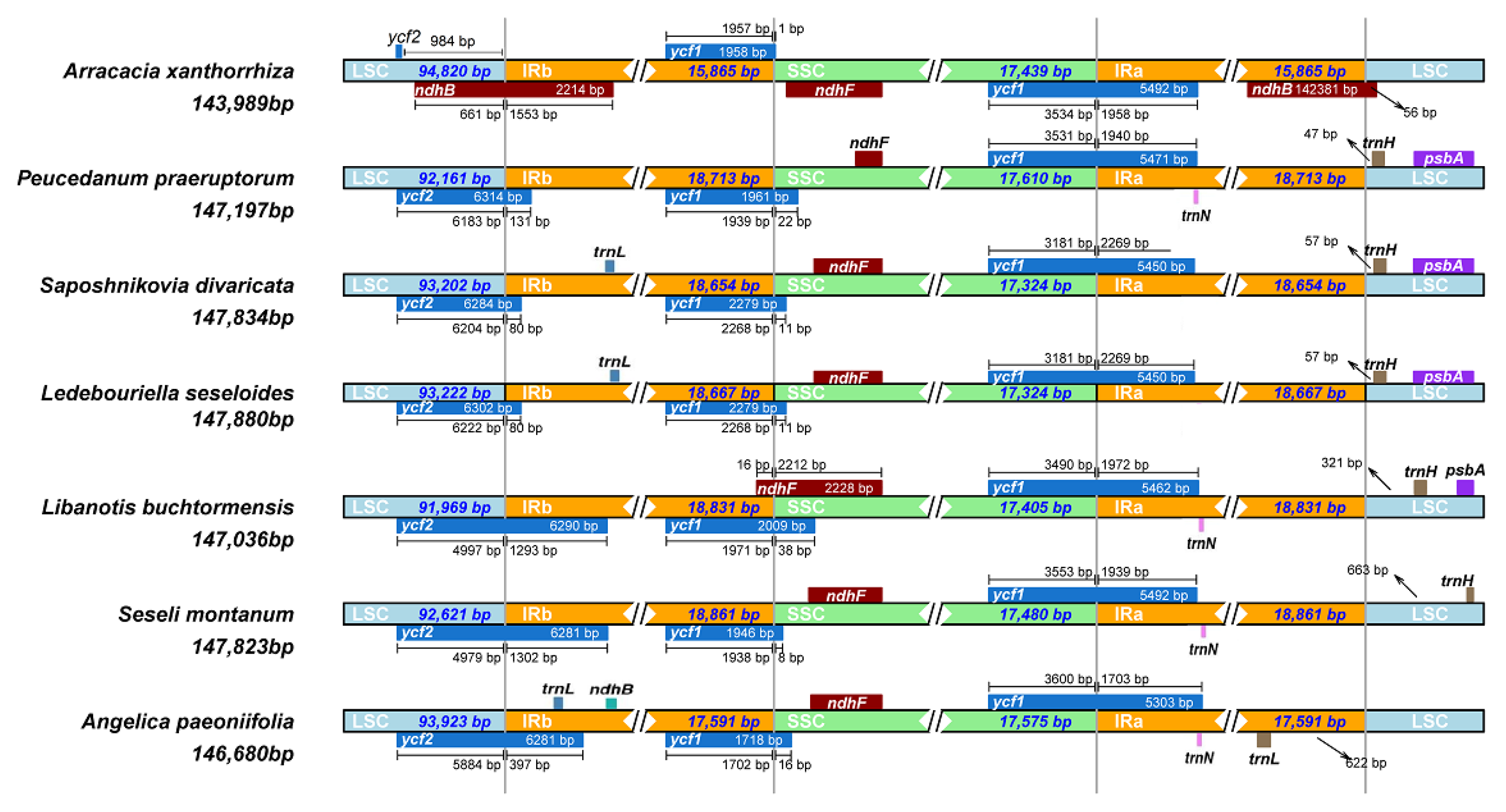 Genes 13 00931 g006 Genes 13 00931 g006