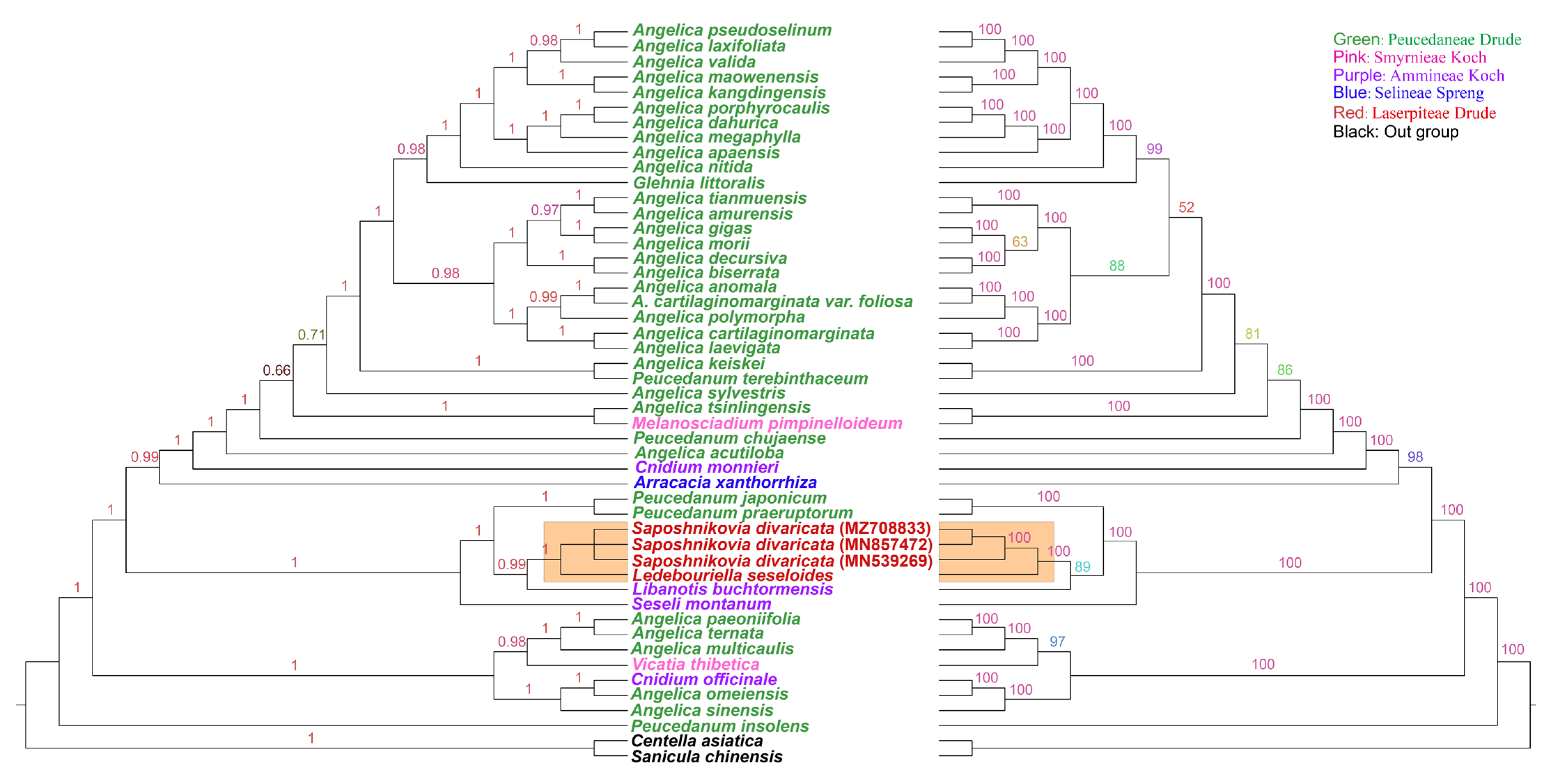 Genes 13 00931 g007 Genes 13 00931 g007