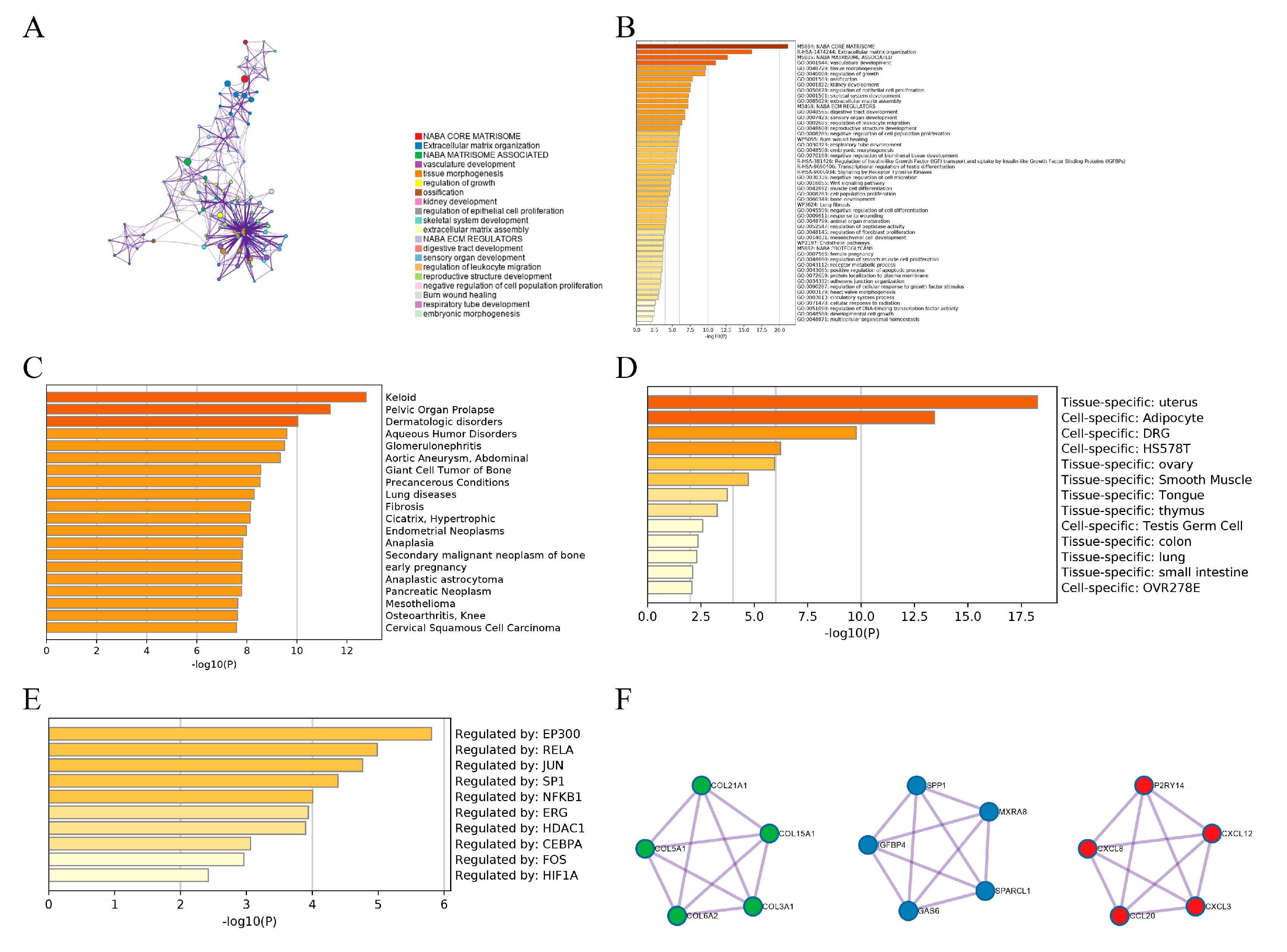 Genes 13 00935 g002 Genes 13 00935 g002