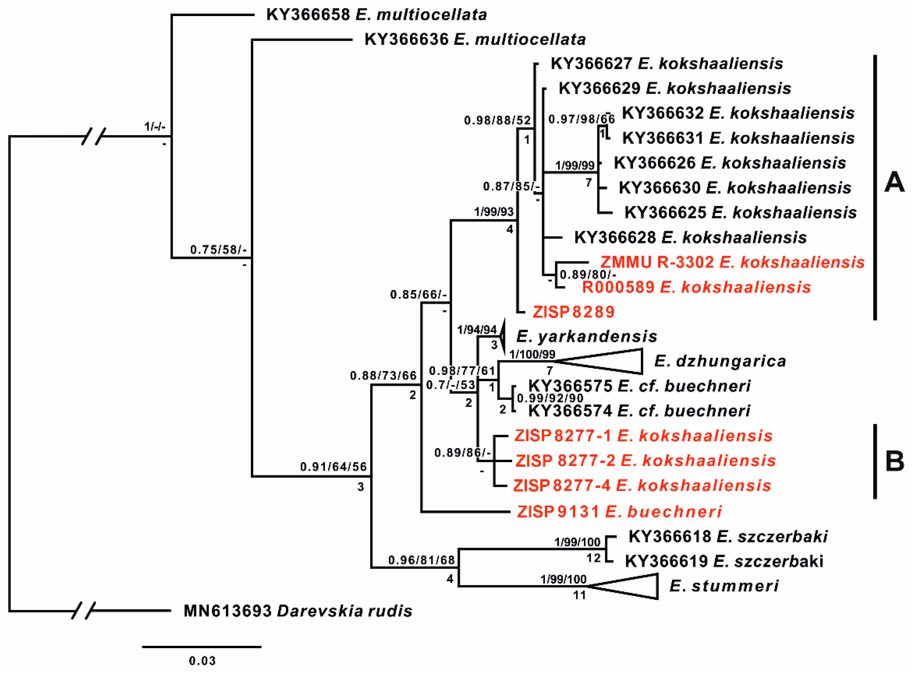 Genes 13 00941 g002