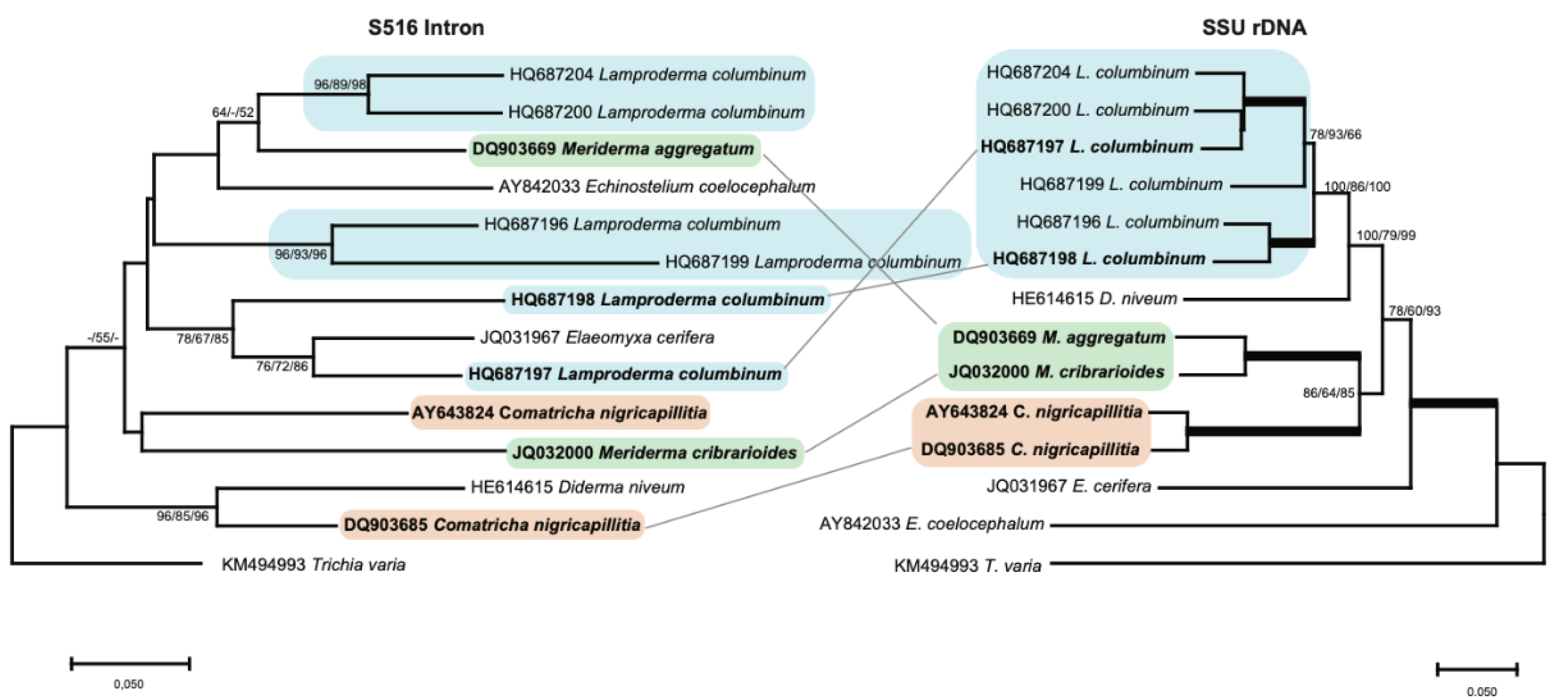 Genes 13 00944 g003 Genes 13 00944 g003