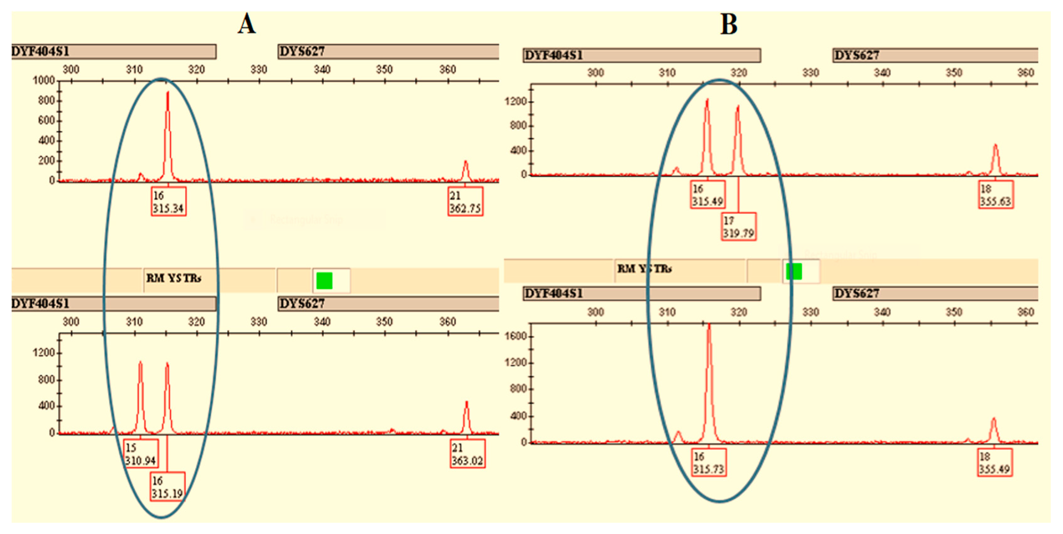 Genes 13 00946 g003 550