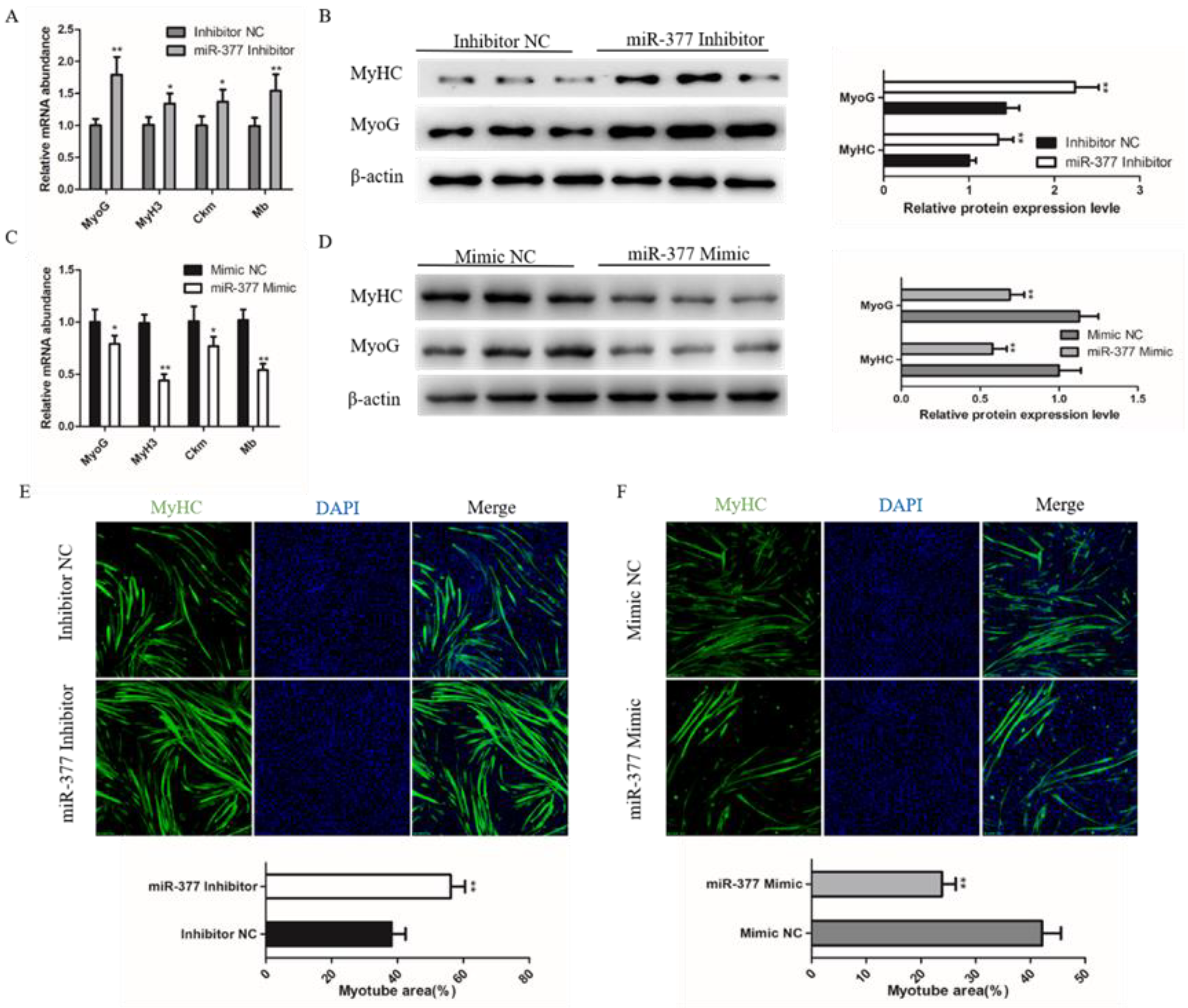 Genes 13 00947 g003 Genes 13 00947 g003