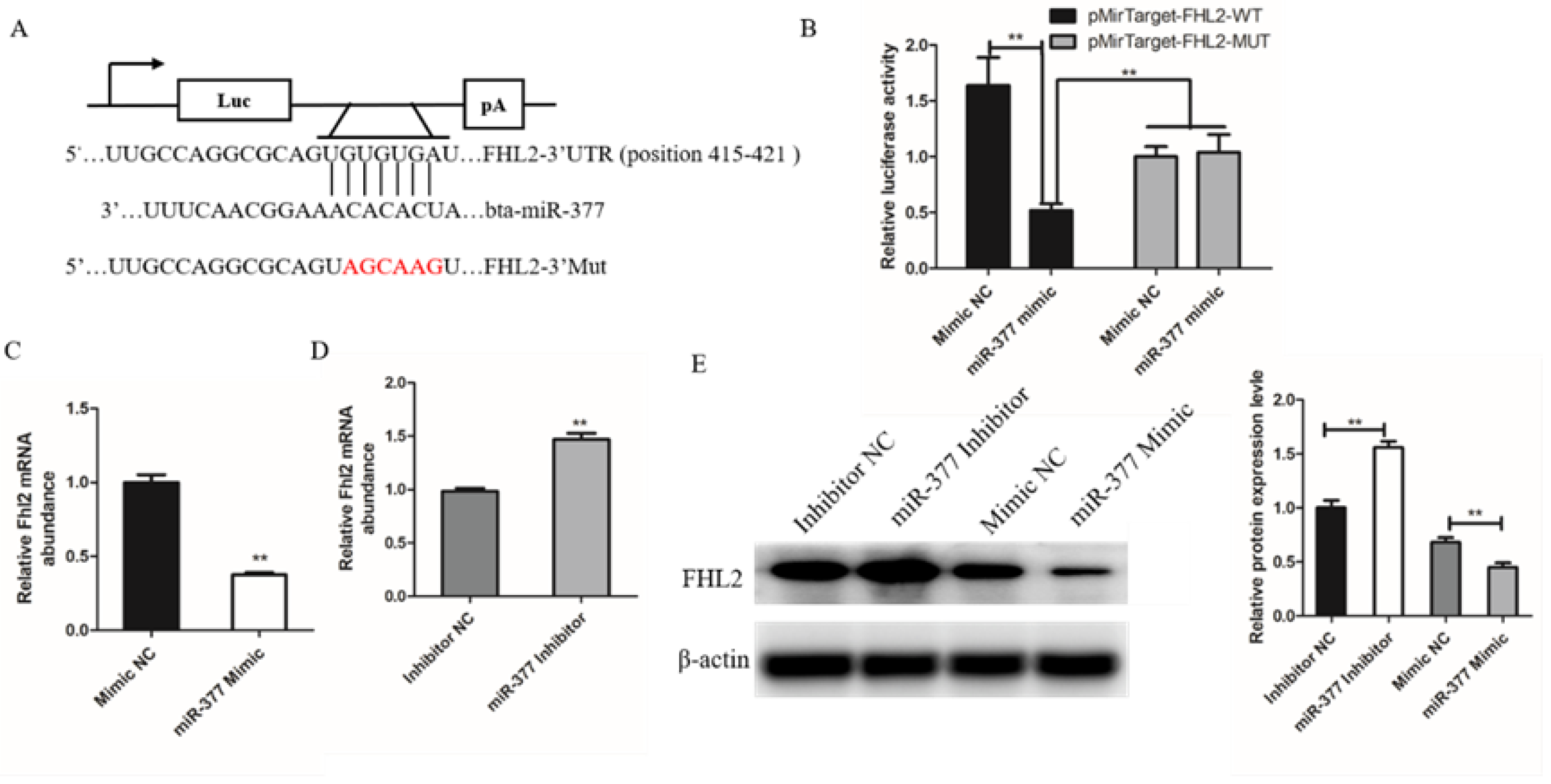 Genes 13 00947 g004 Genes 13 00947 g004