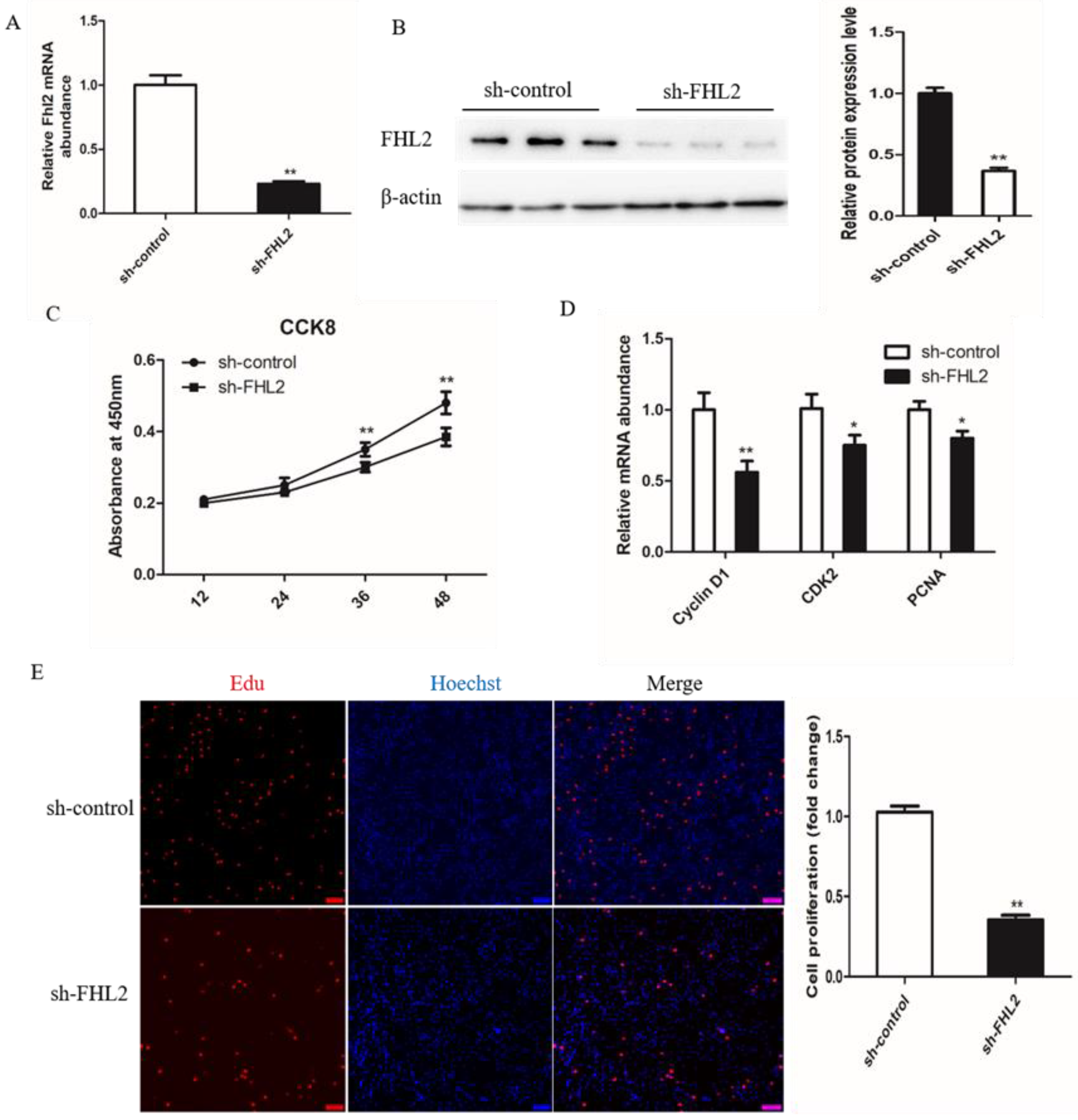 Genes 13 00947 g005 Genes 13 00947 g005