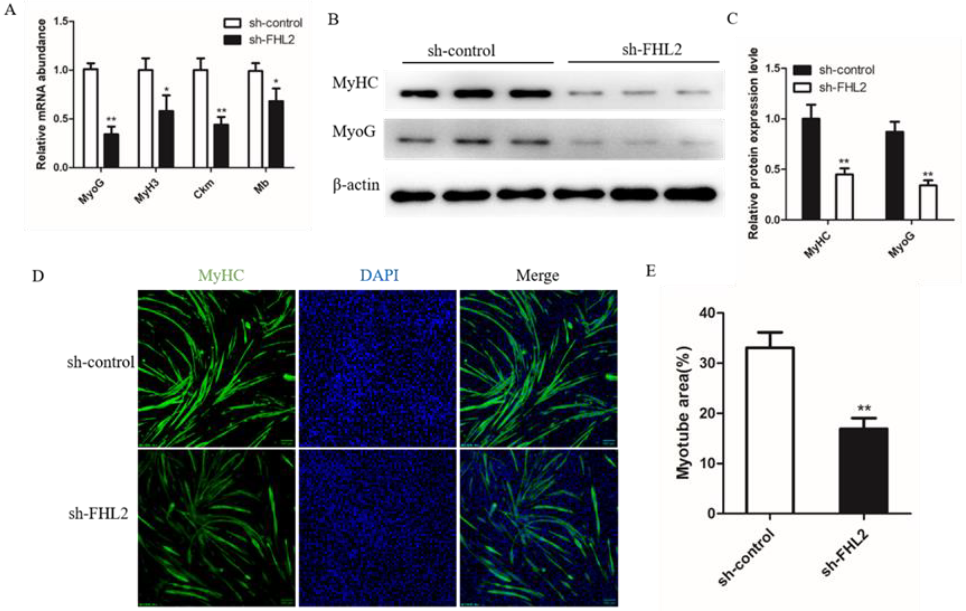 Genes 13 00947 g006 Genes 13 00947 g006