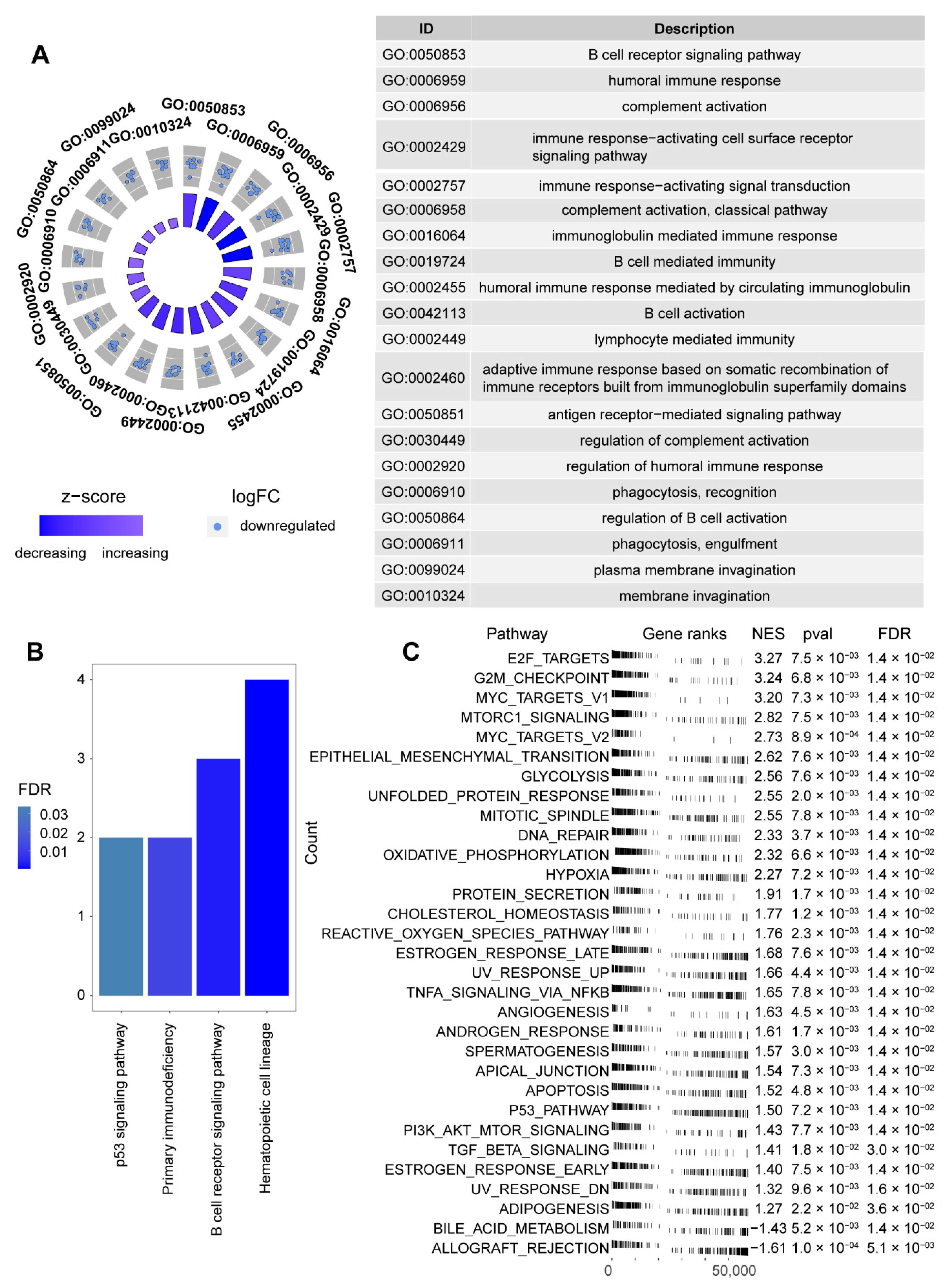 Genes 13 00951 g005