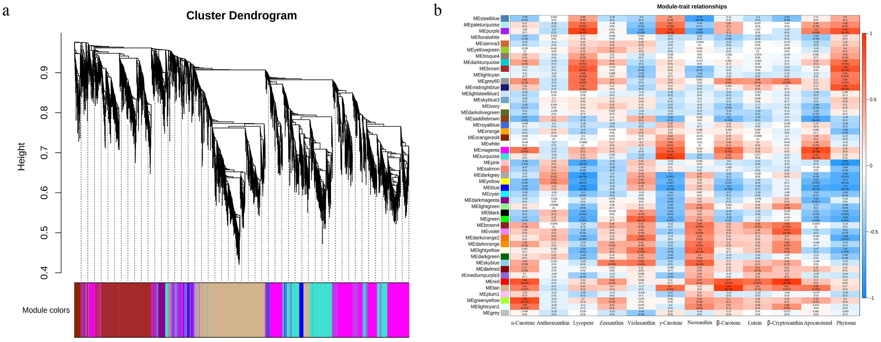 Genes 13 00953 g003