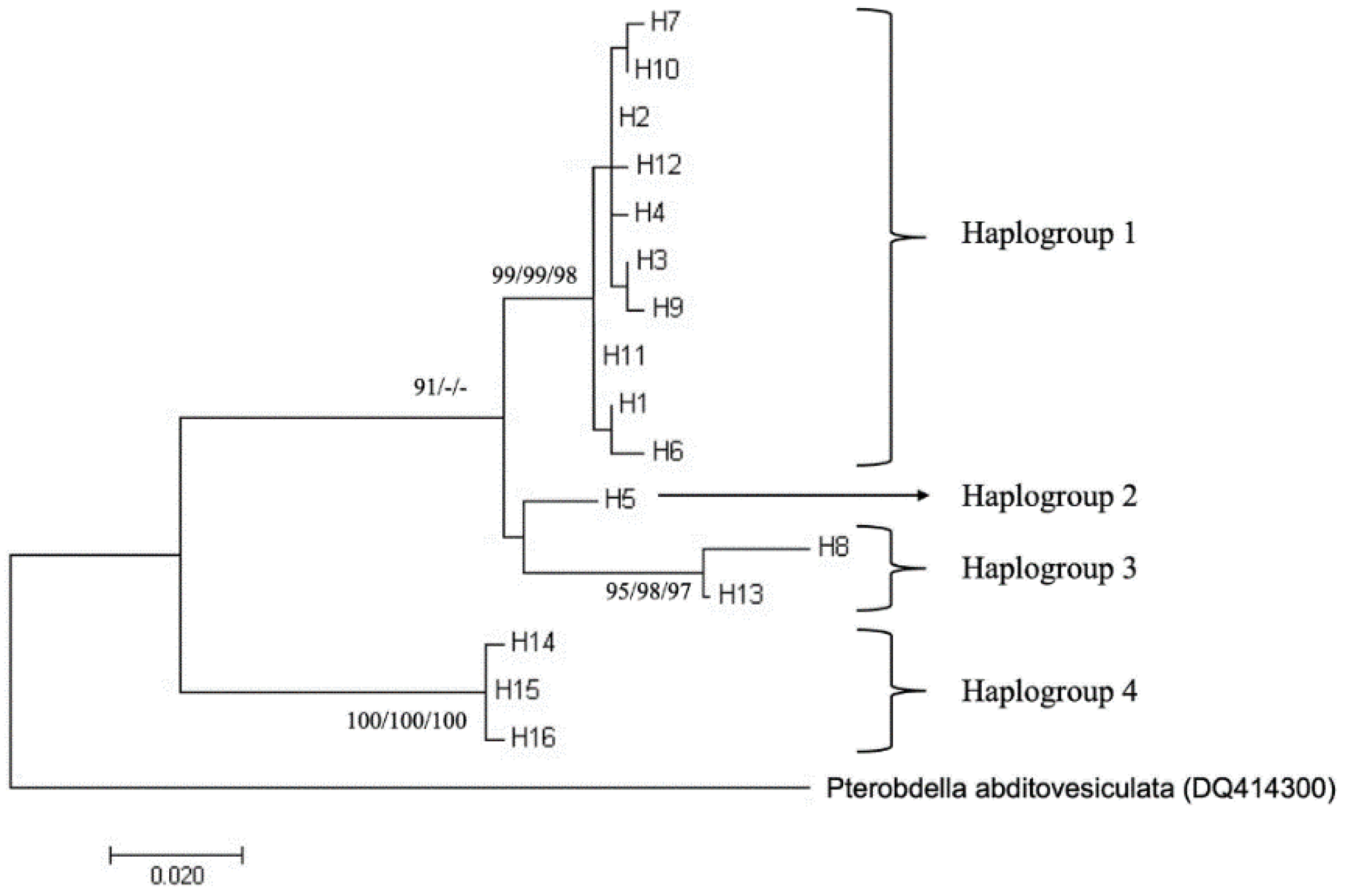 Genes 13 00956 g003 Genes 13 00956 g003