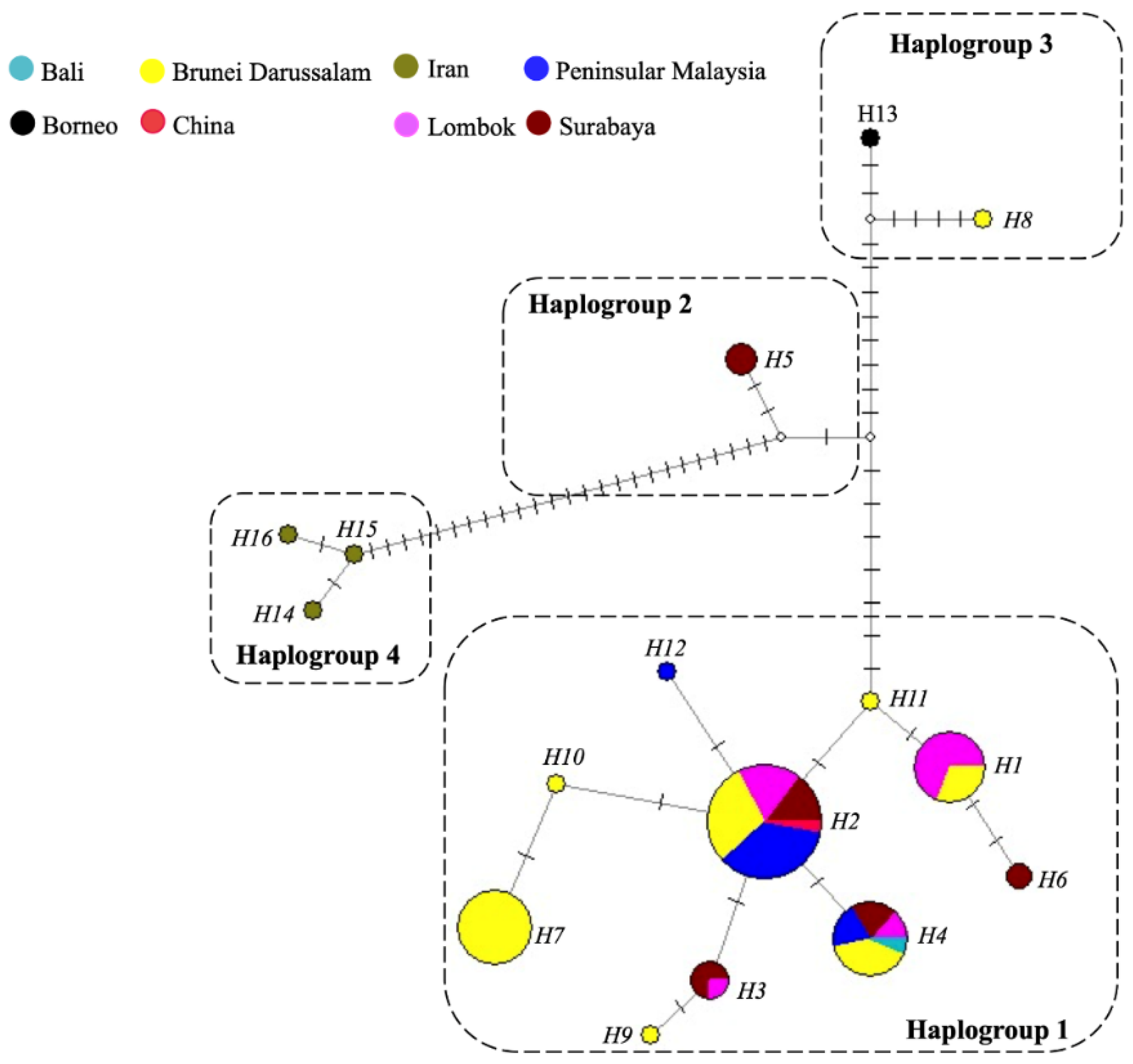 Genes 13 00956 g004 Genes 13 00956 g004