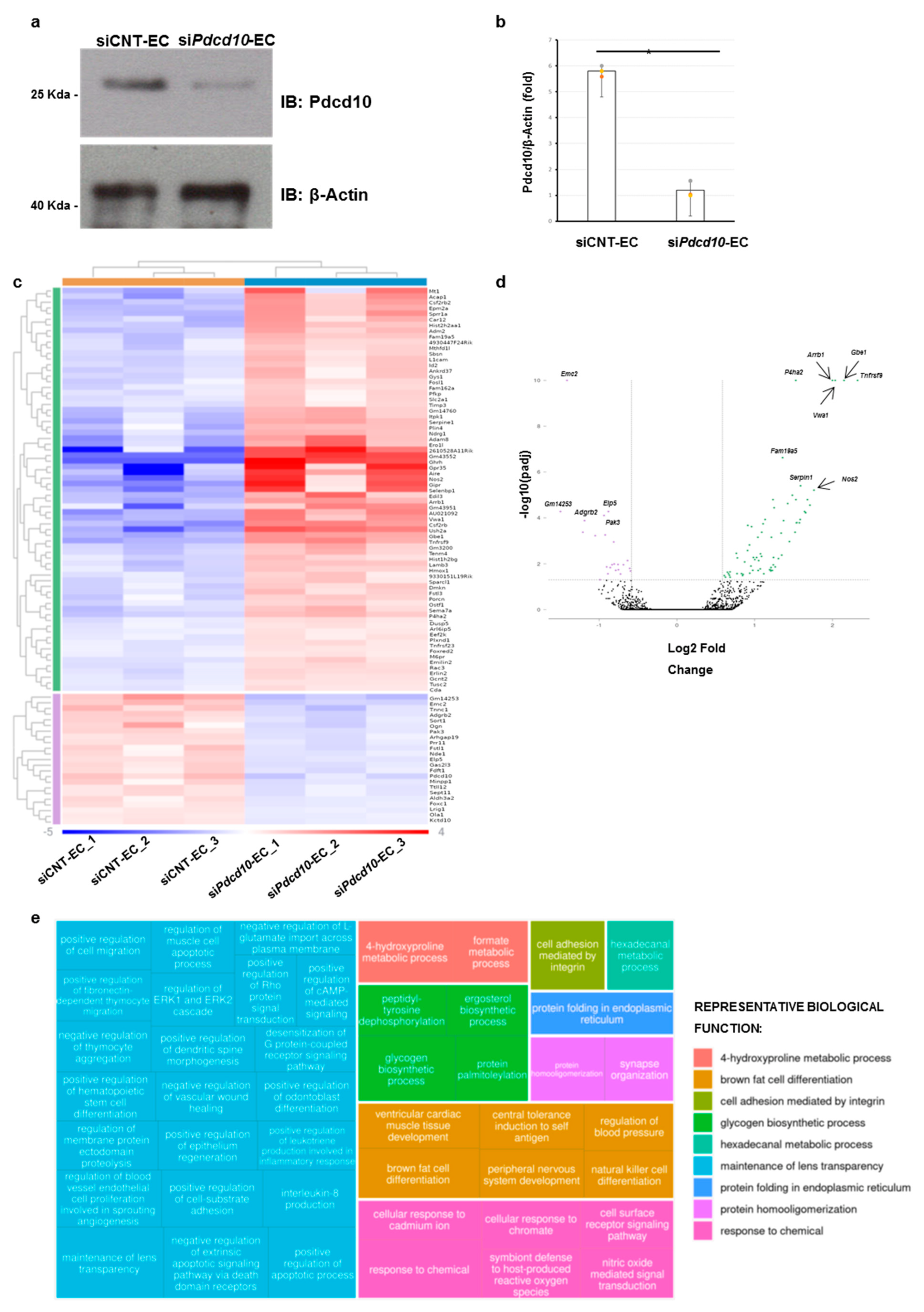 Genes 13 00961 g001 550