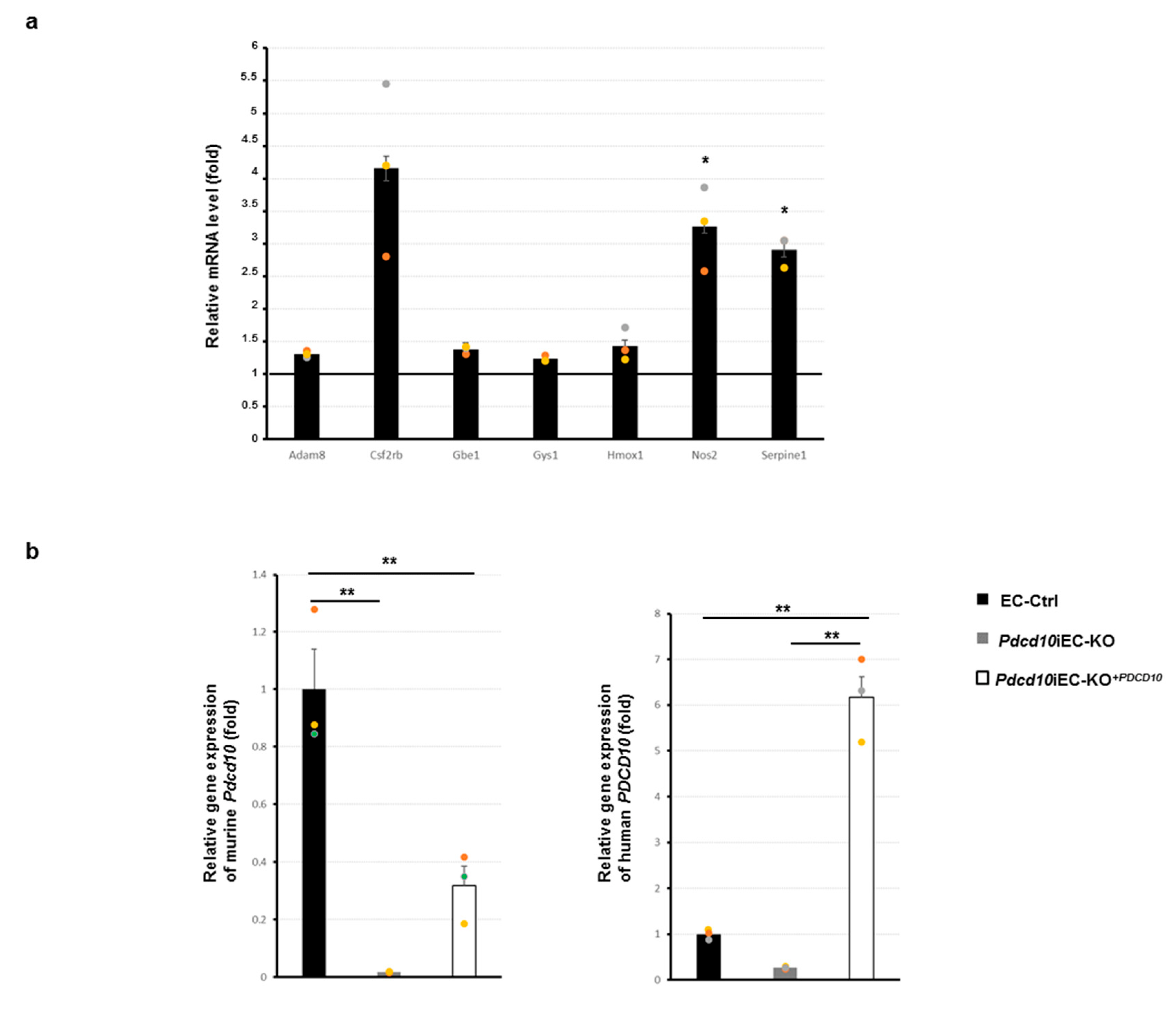 Genes 13 00961 g003a 550