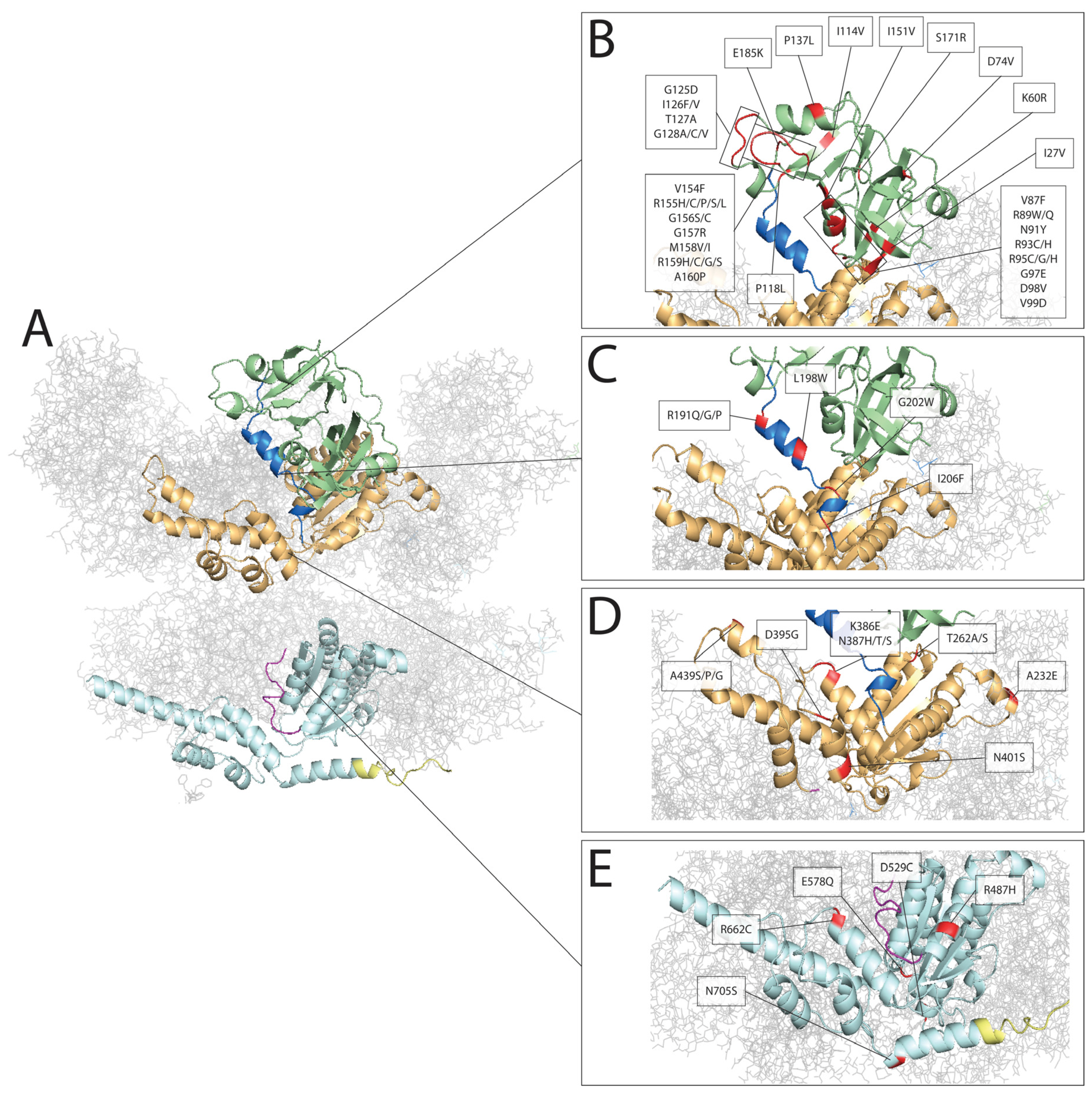 Genes 13 00963 g001 Genes 13 00963 g001