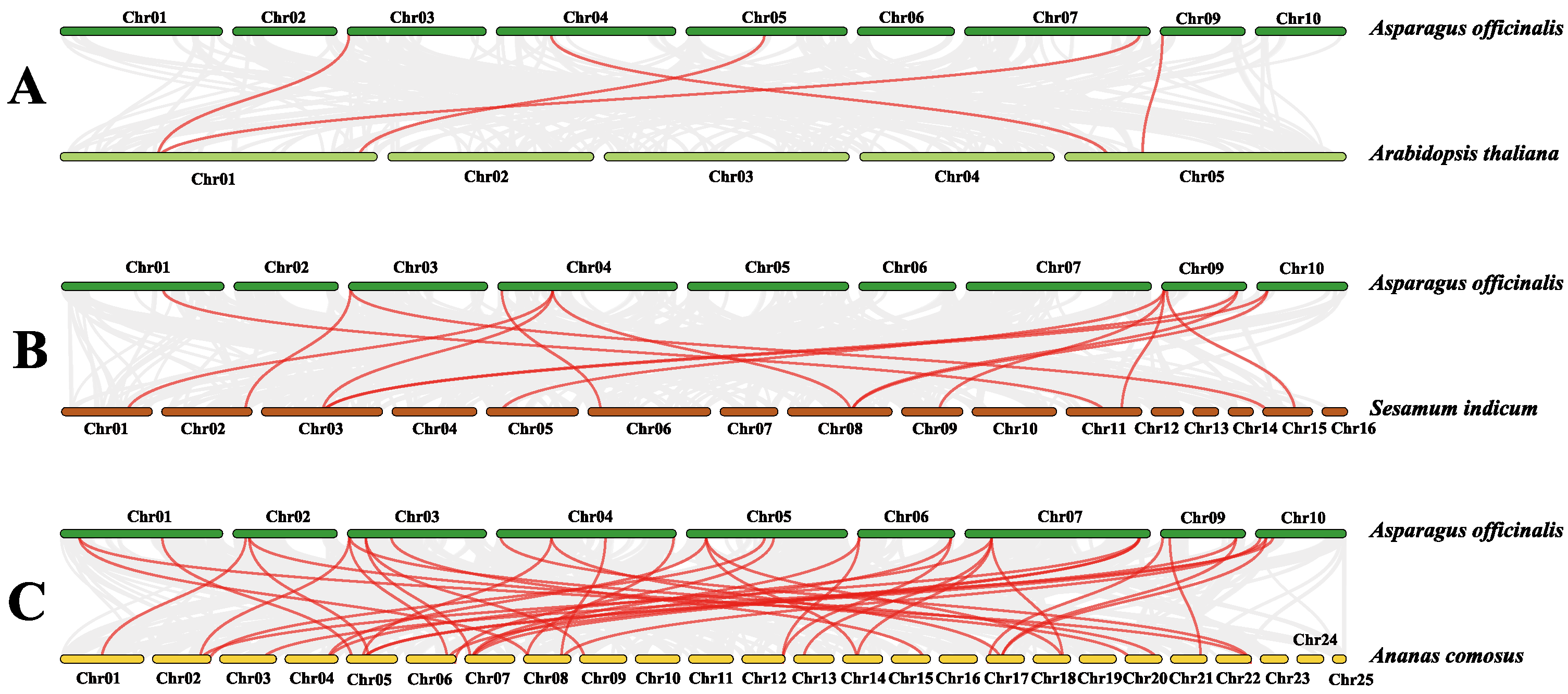 Genes 13 00976 g006 550