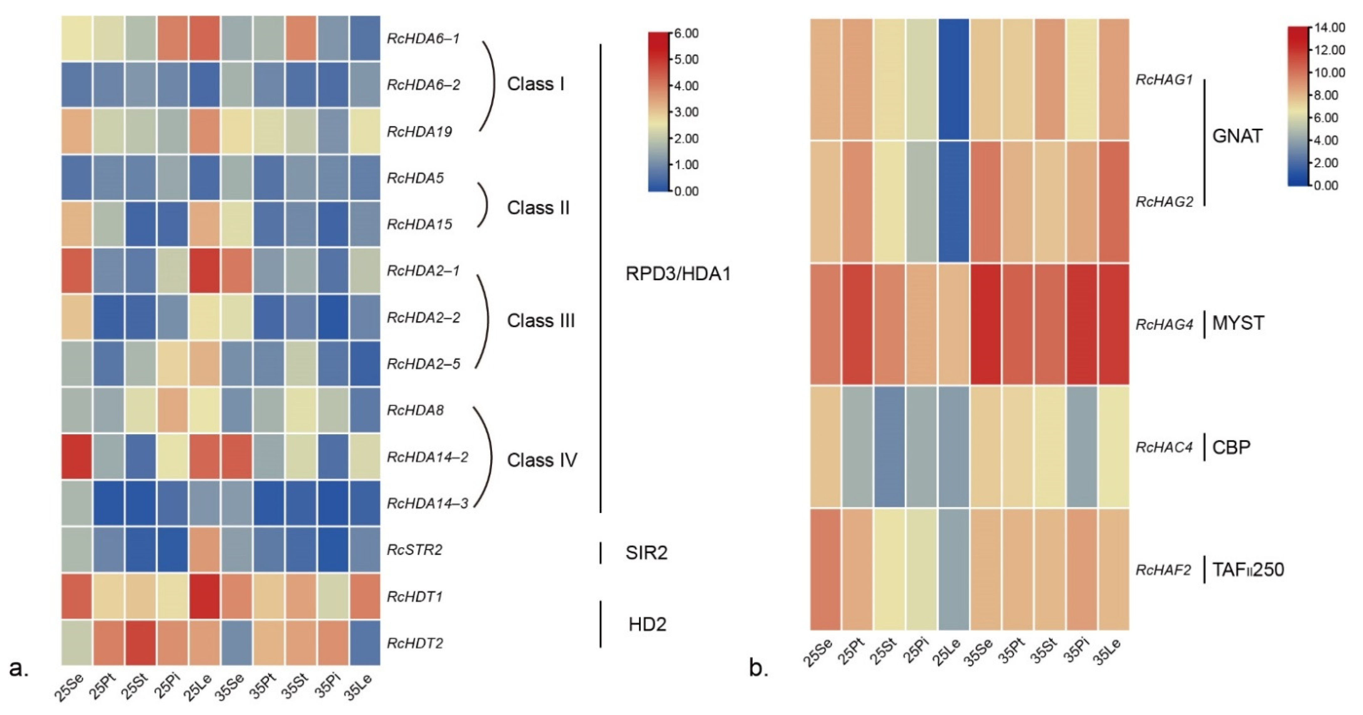 Genes 13 00980 g006