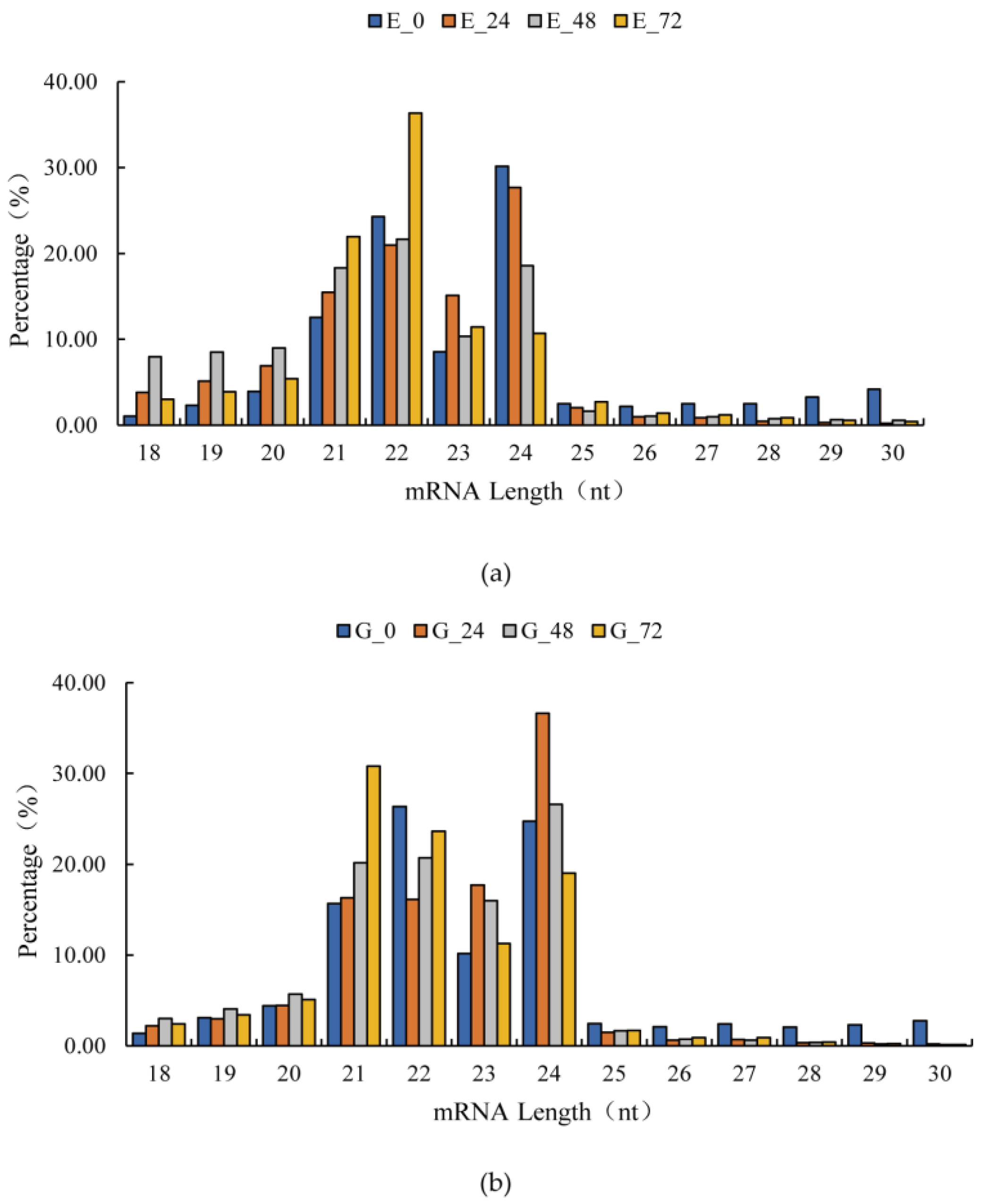 Identification of miRNAs in Response to Sweet Potato Weevil