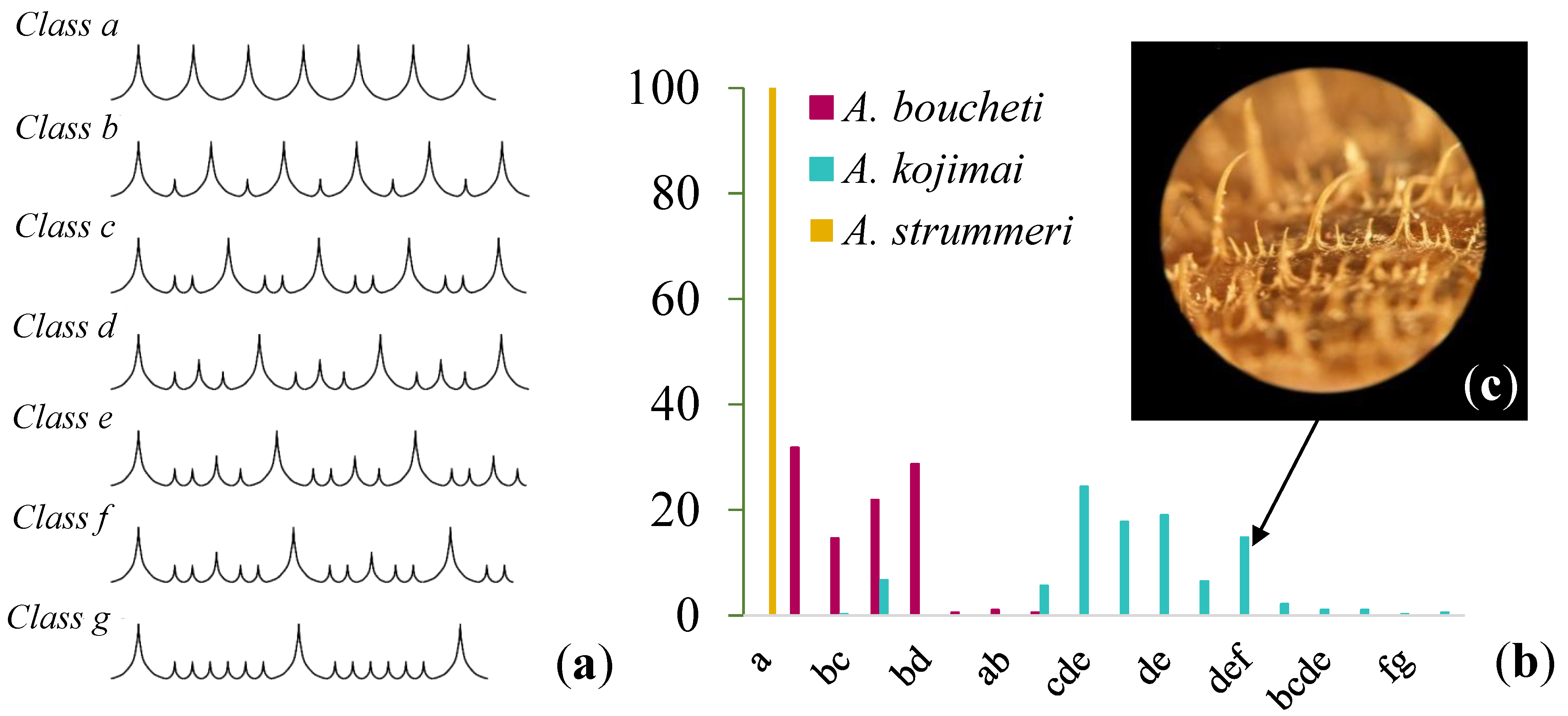Genes 13 00985 g002 Genes 13 00985 g002