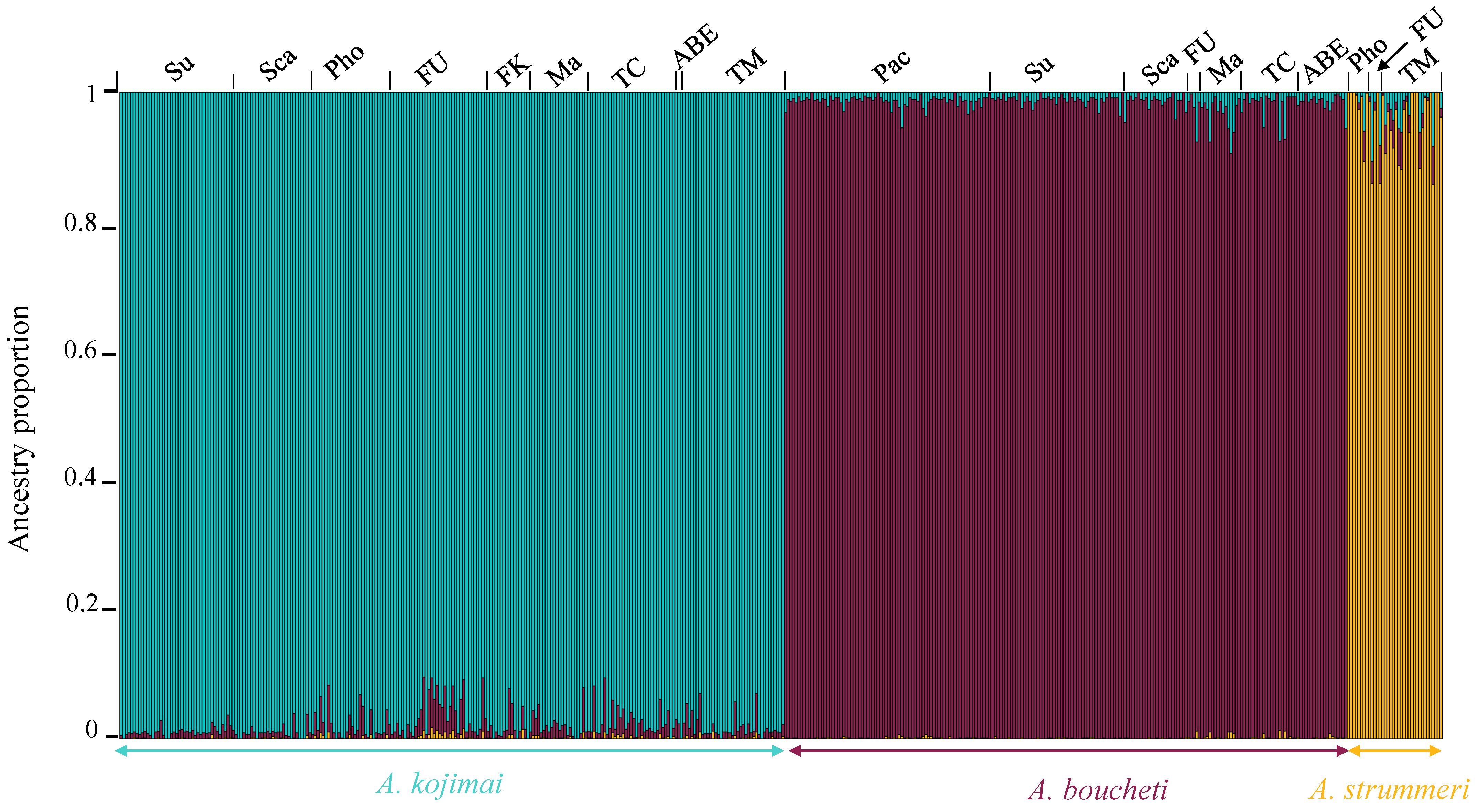 Genes 13 00985 g007 Genes 13 00985 g007