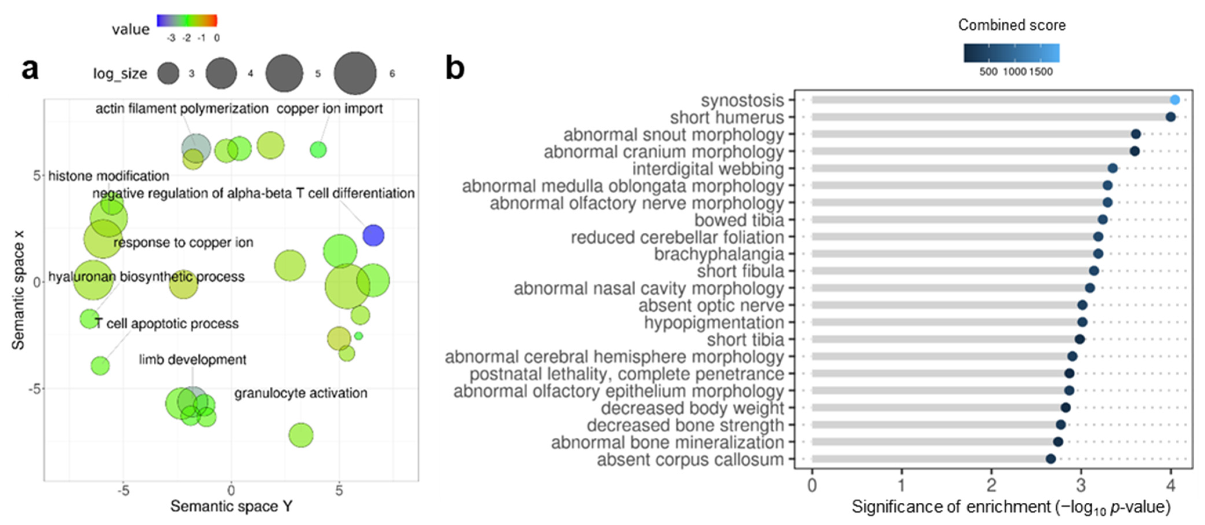 Genes 13 00987 g002