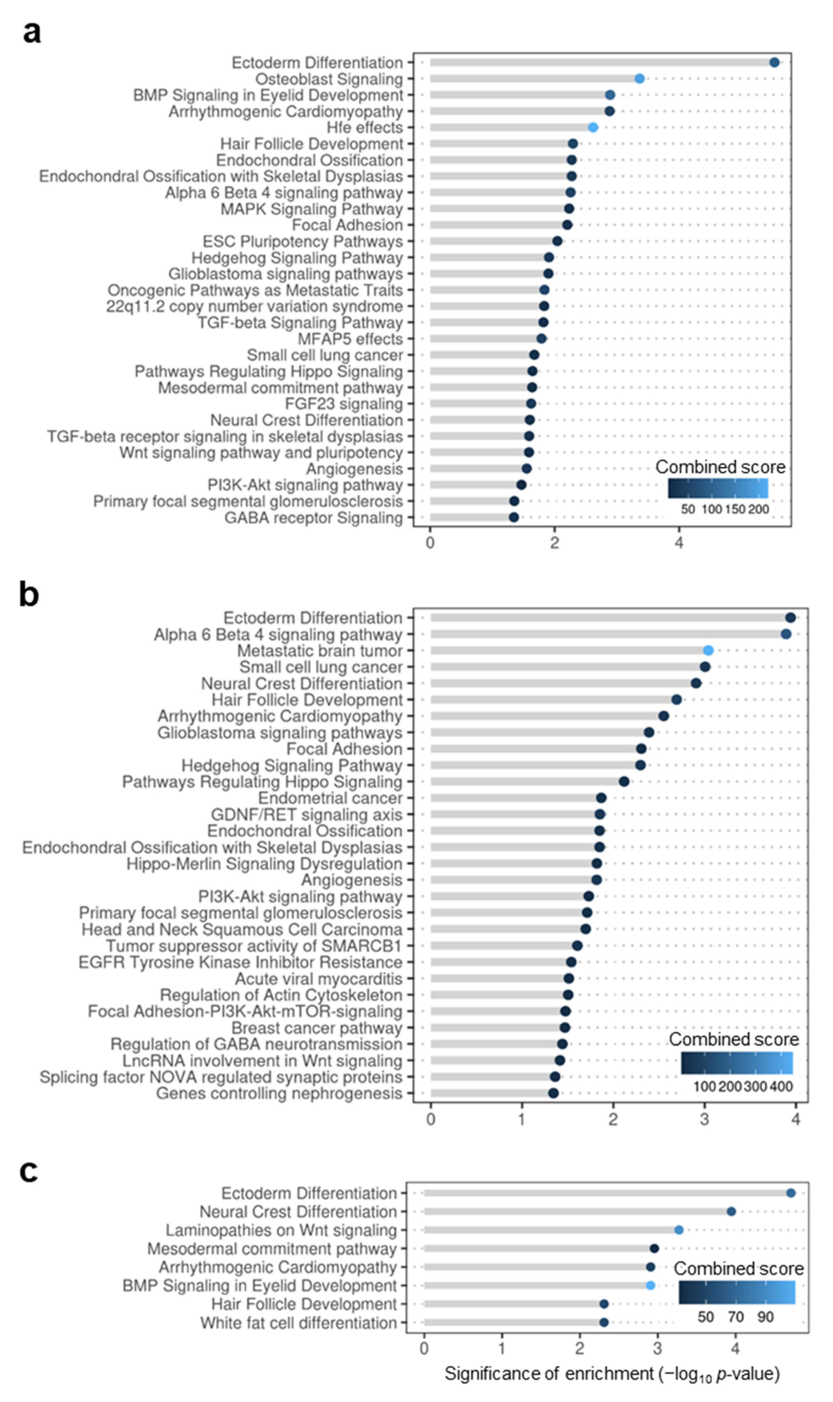 Genes 13 00987 g004