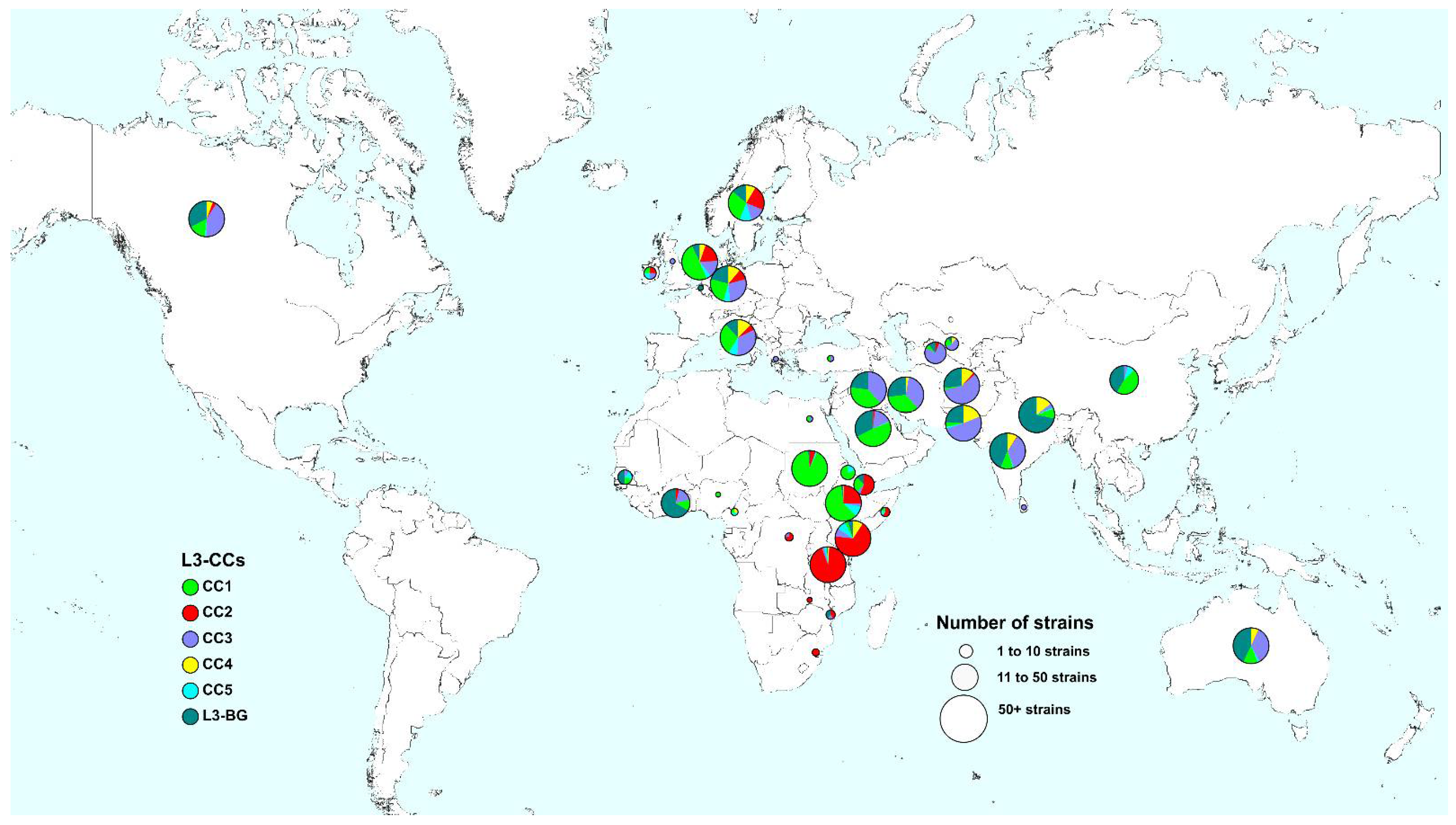 Genes 13 00990 g003 Genes 13 00990 g003
