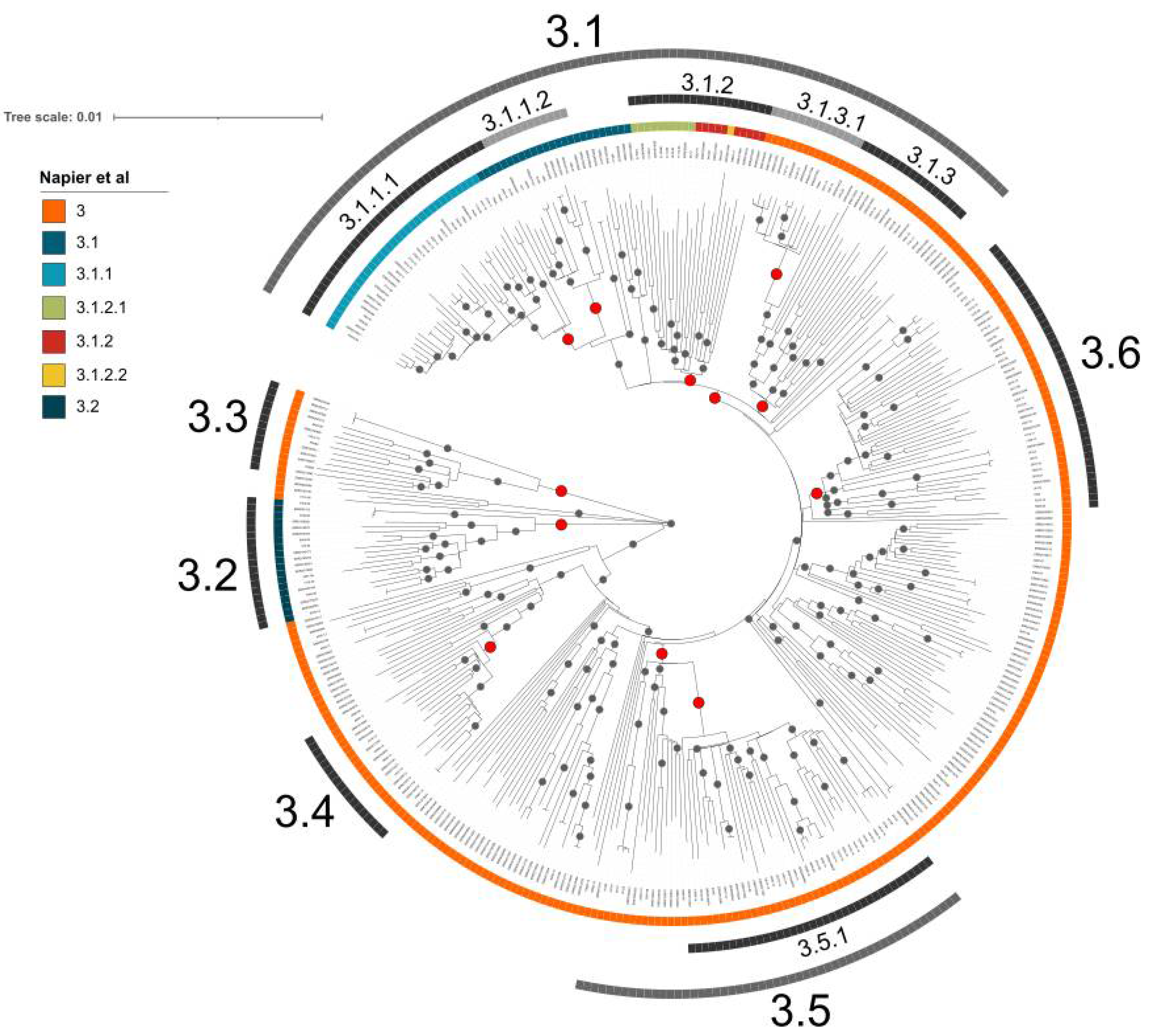 Genes 13 00990 g004 Genes 13 00990 g004