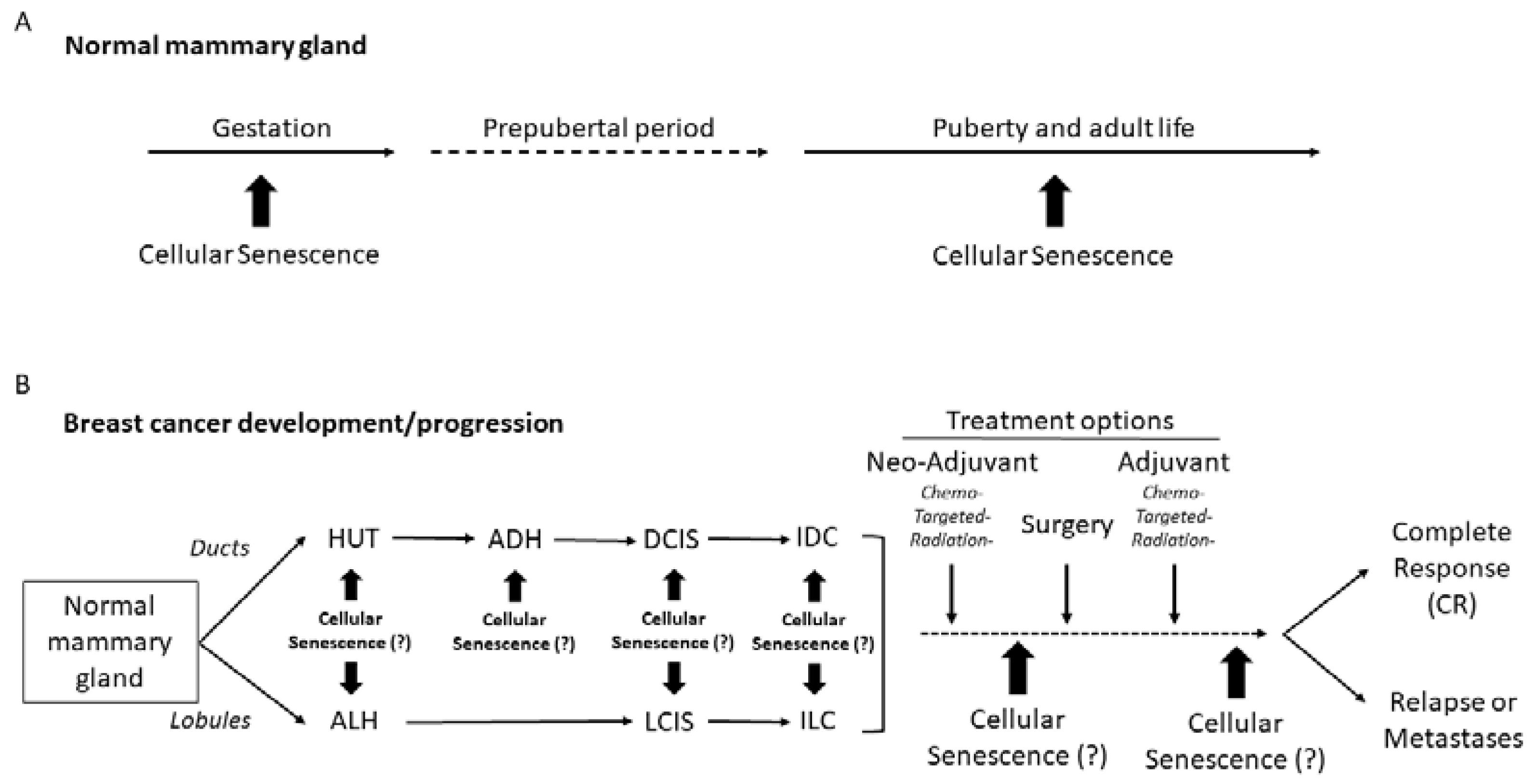 Genes 13 00994 g002 Genes 13 00994 g002