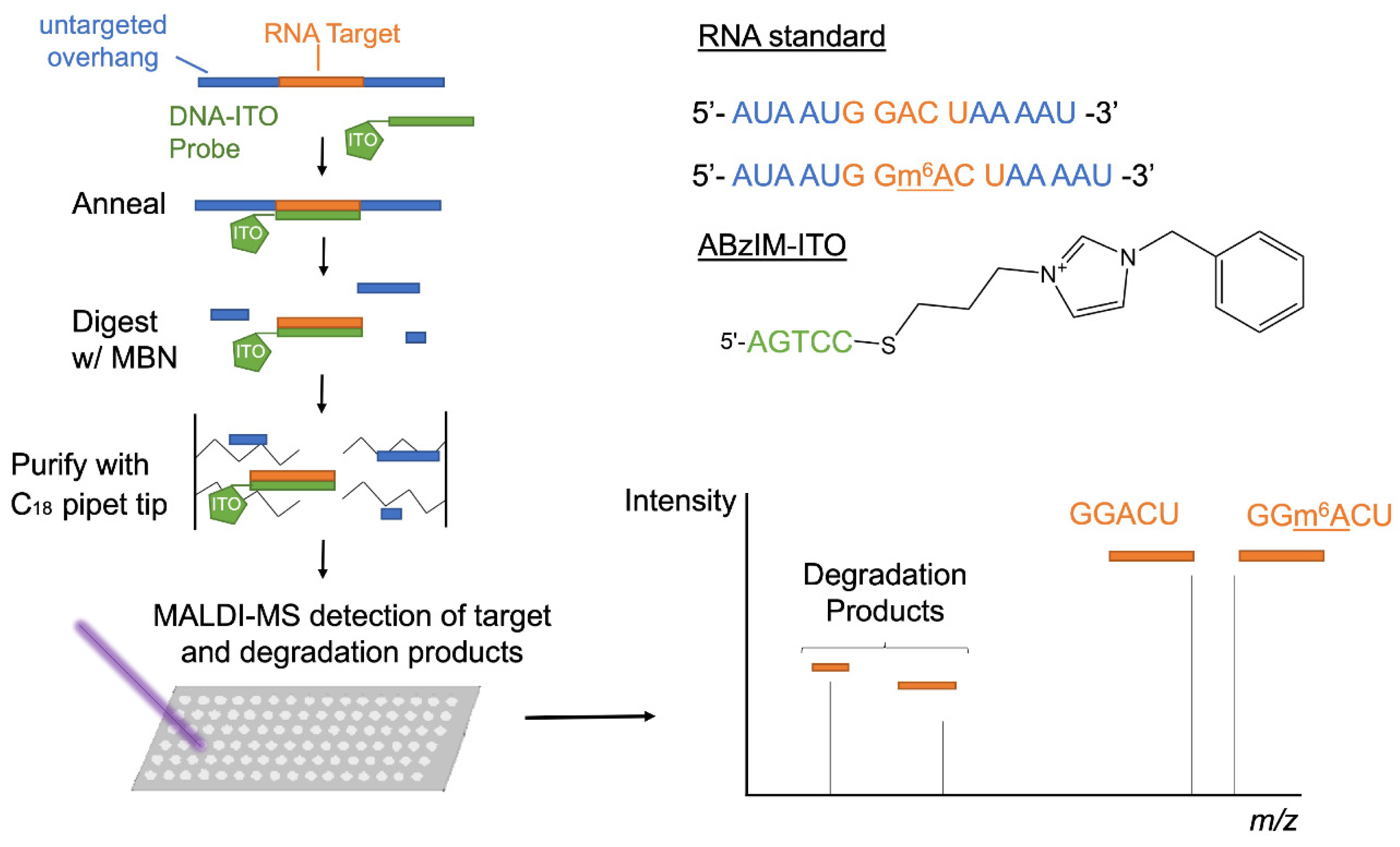 Genes 13 01008 g001 Genes 13 01008 g001