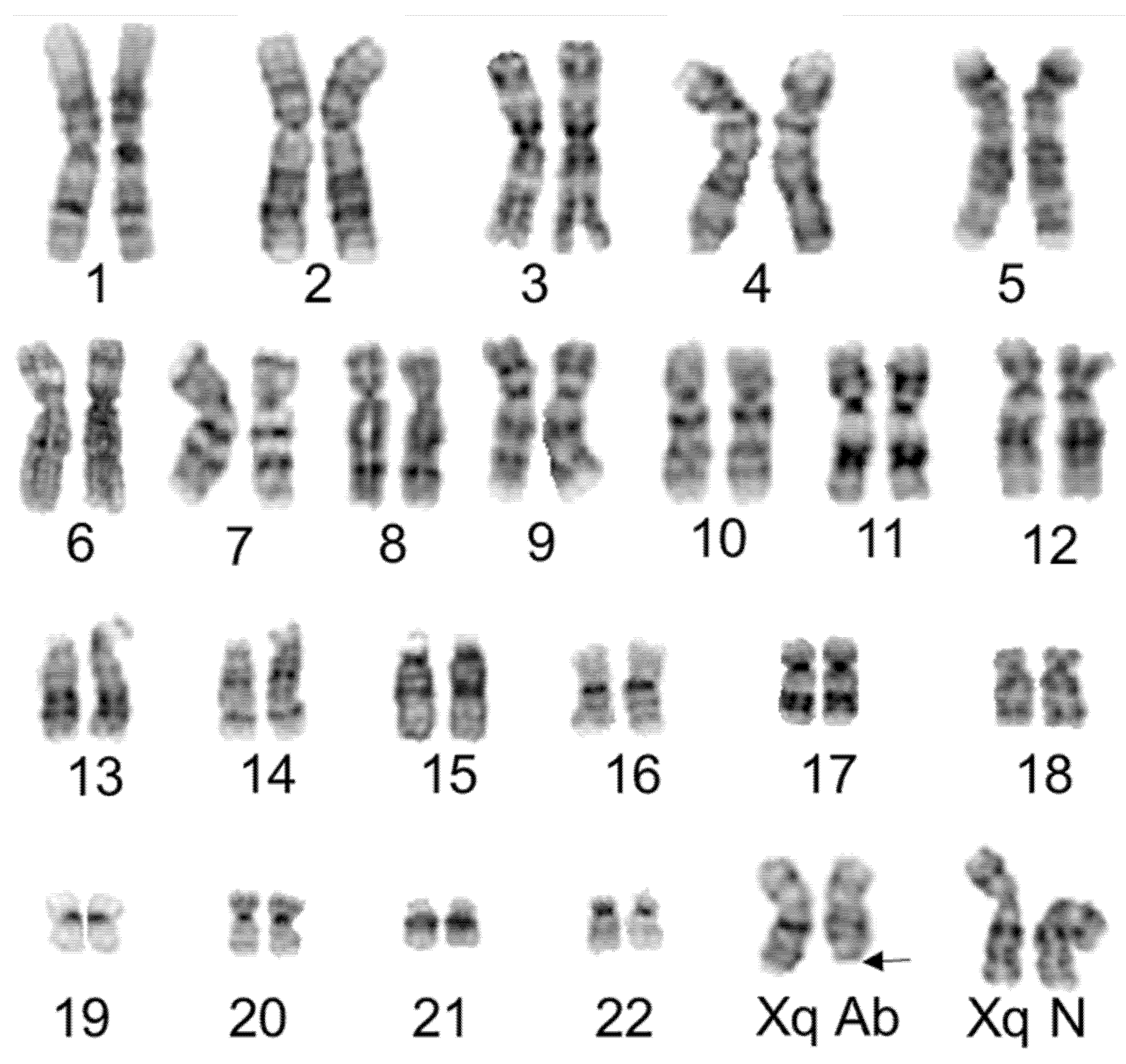 Genes 13 01012 g001 550