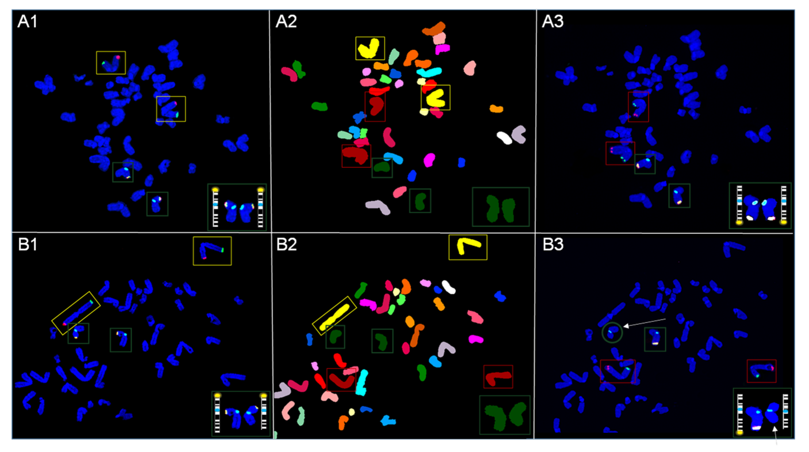 Genes 13 01012 g004 550
