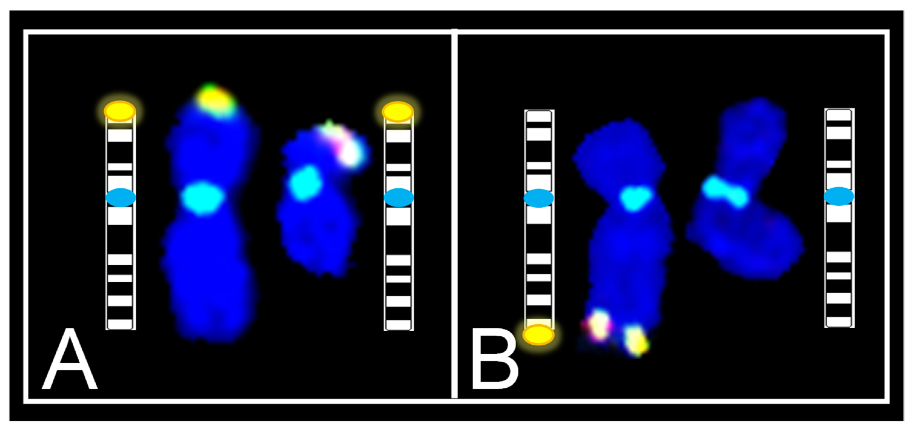 Genes 13 01012 g005 550