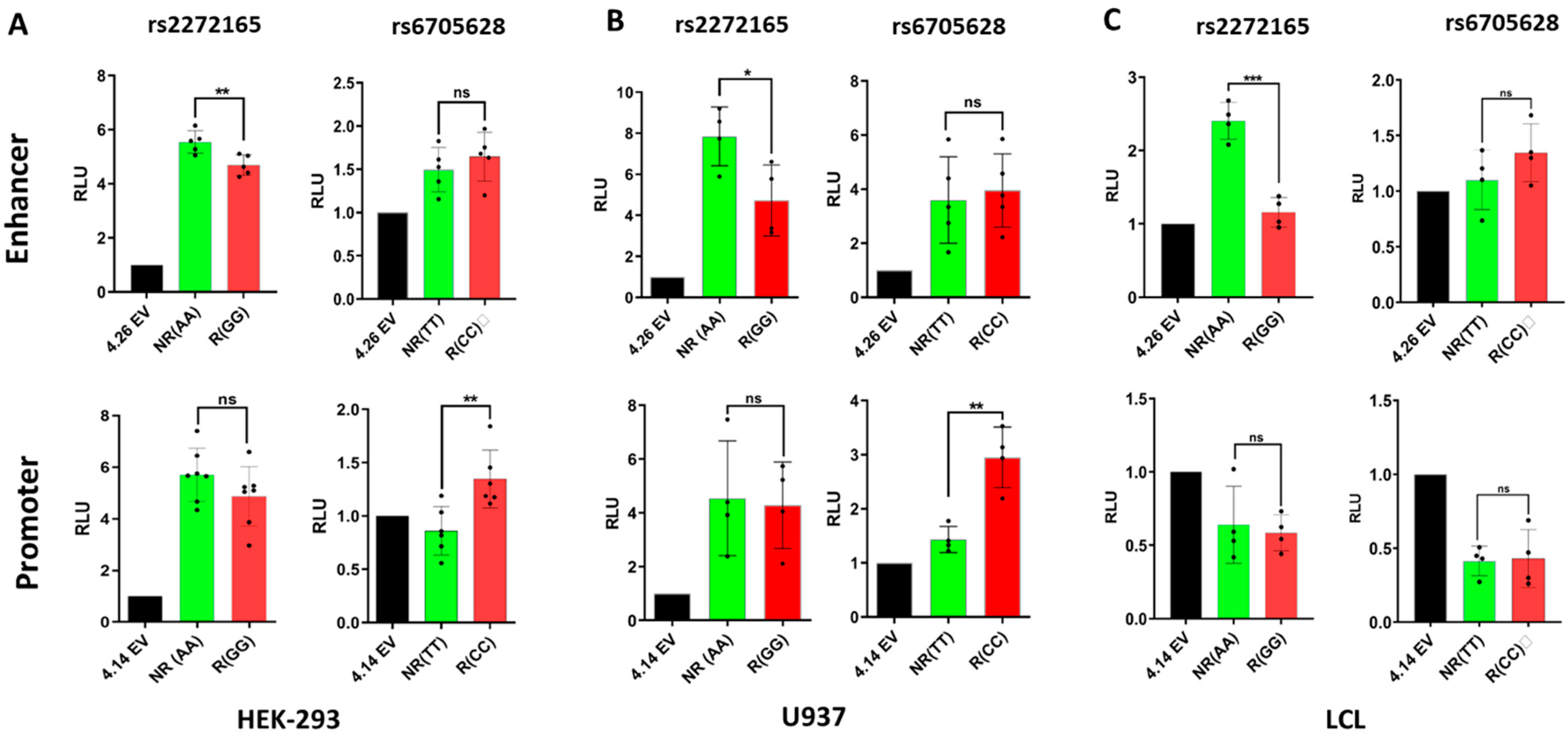 Genes 13 01016 g004 550