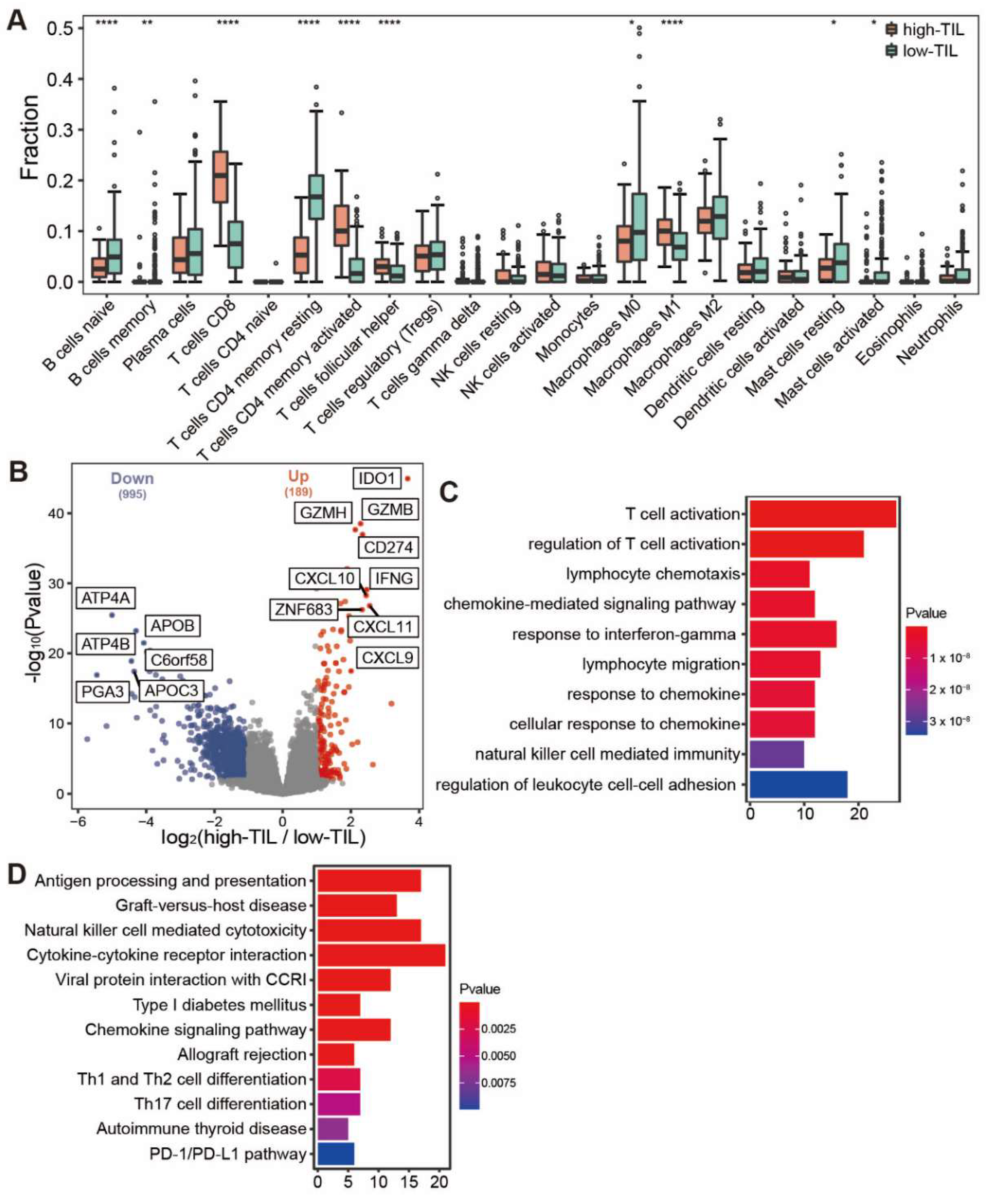 Genes 13 01017 g004 Genes 13 01017 g004
