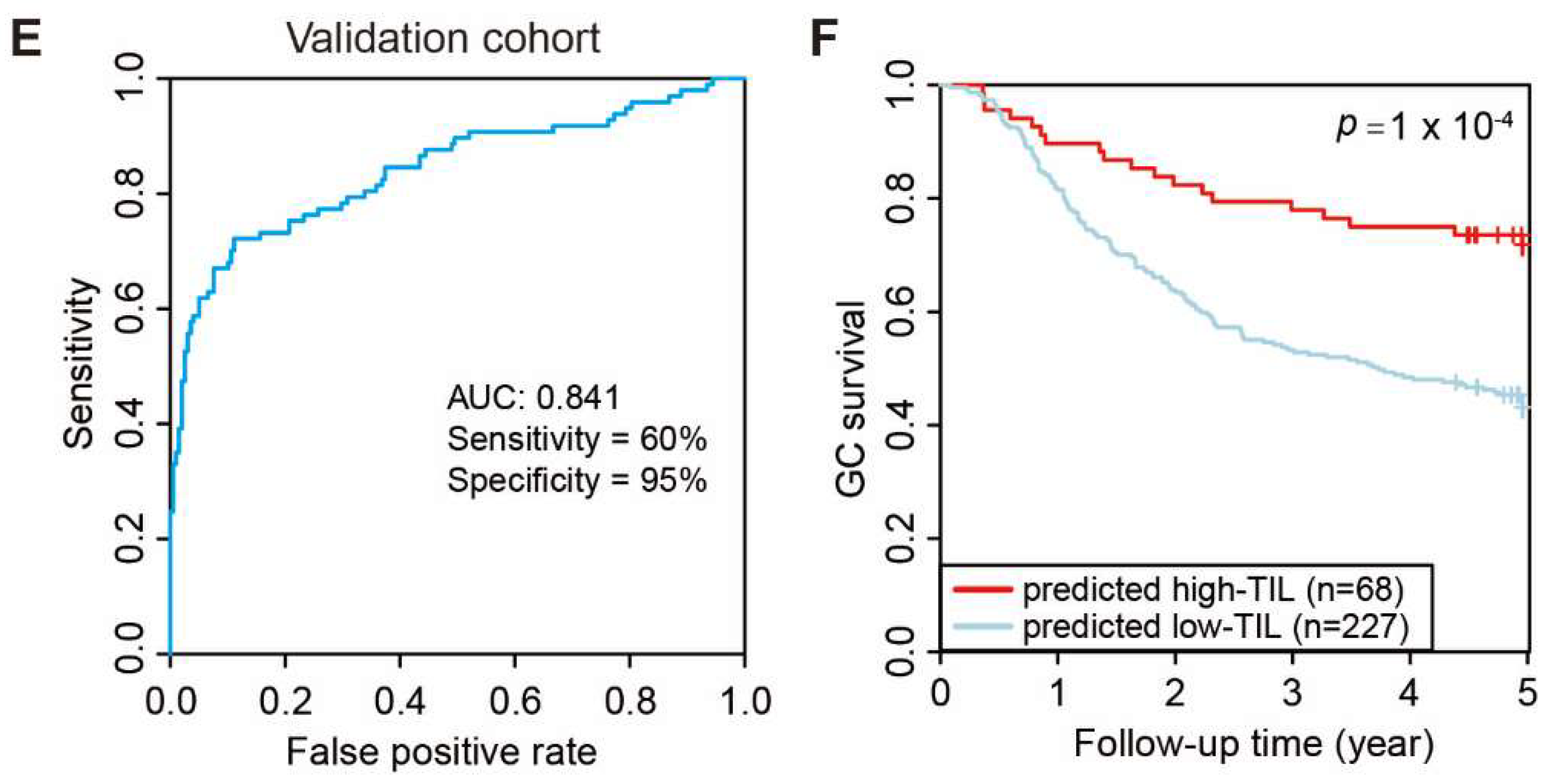 Genes 13 01017 g006b Genes 13 01017 g006b