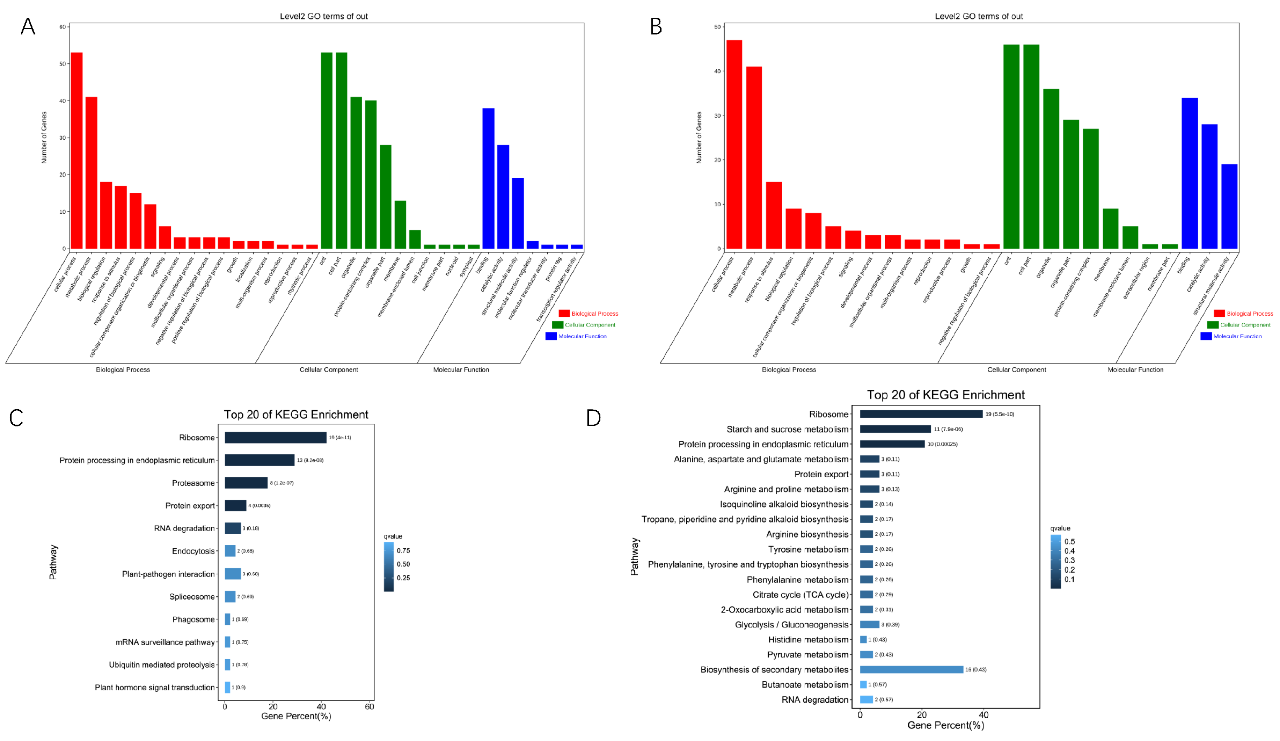 Genes 13 01020 g005