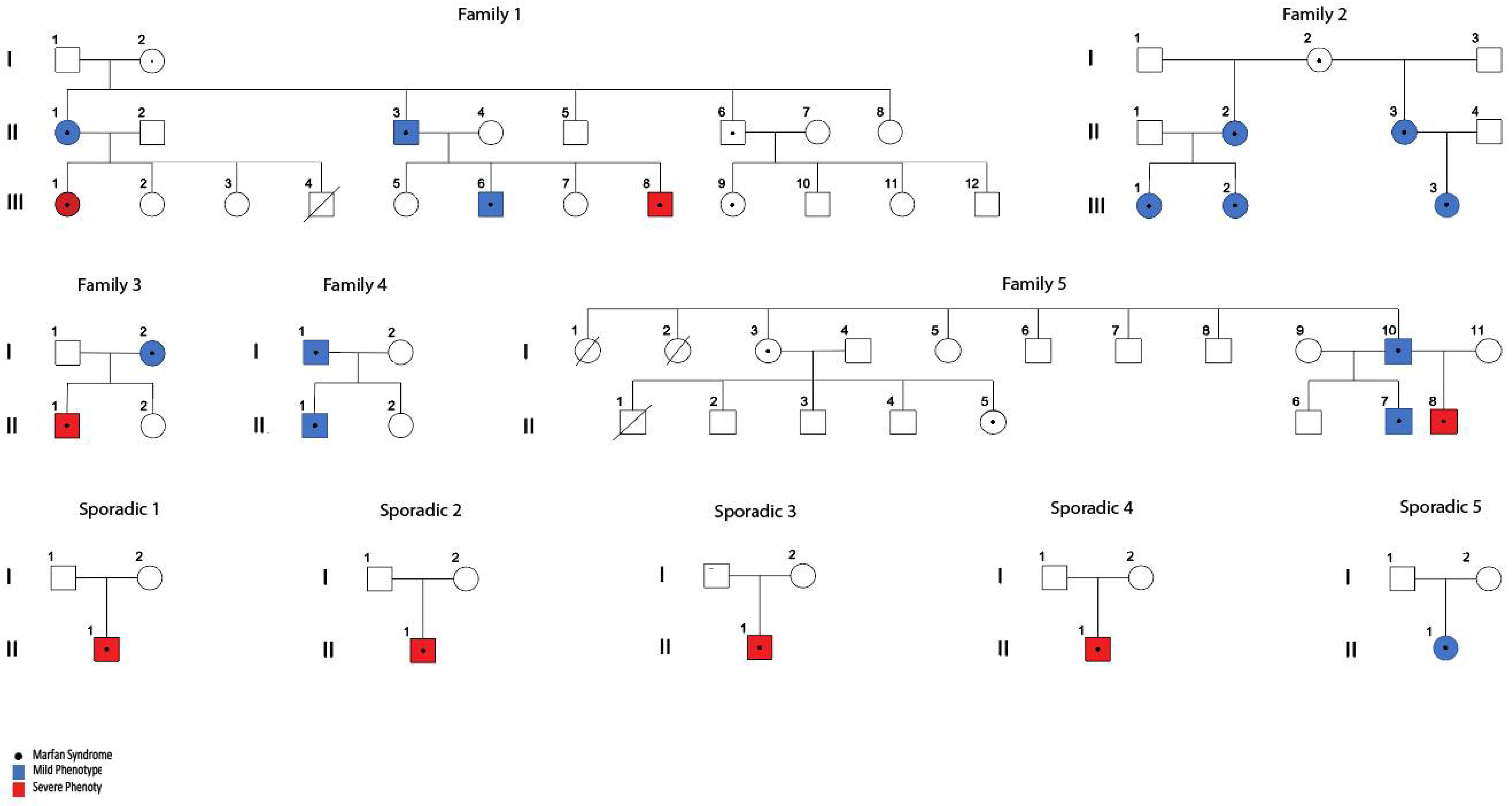 Genes 13 01027 g001 Genes 13 01027 g001