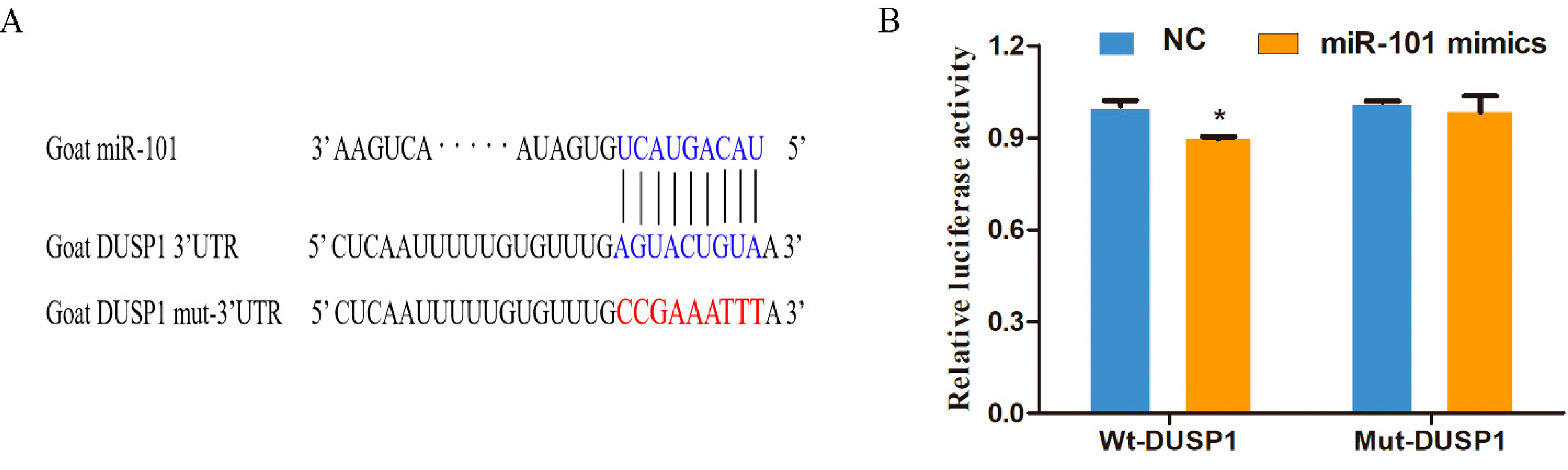 Genes 13 01035 g001 Genes 13 01035 g001