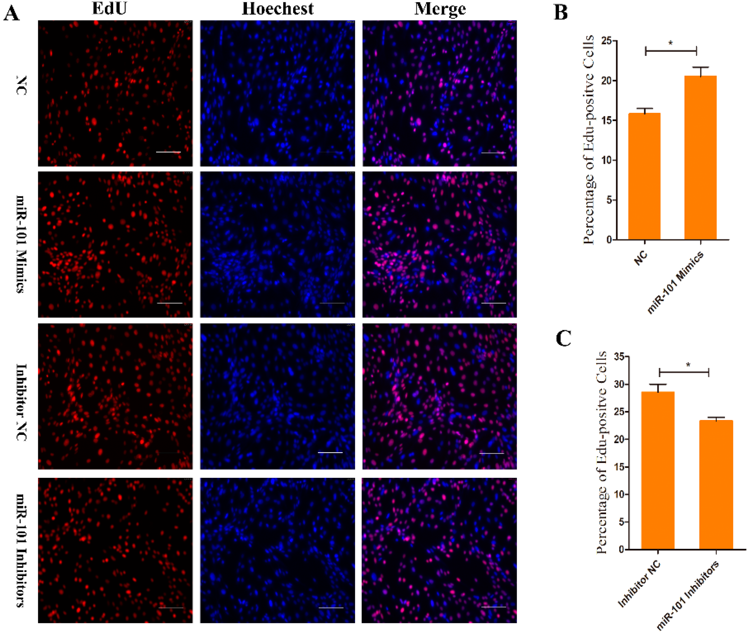 Genes 13 01035 g002 Genes 13 01035 g002
