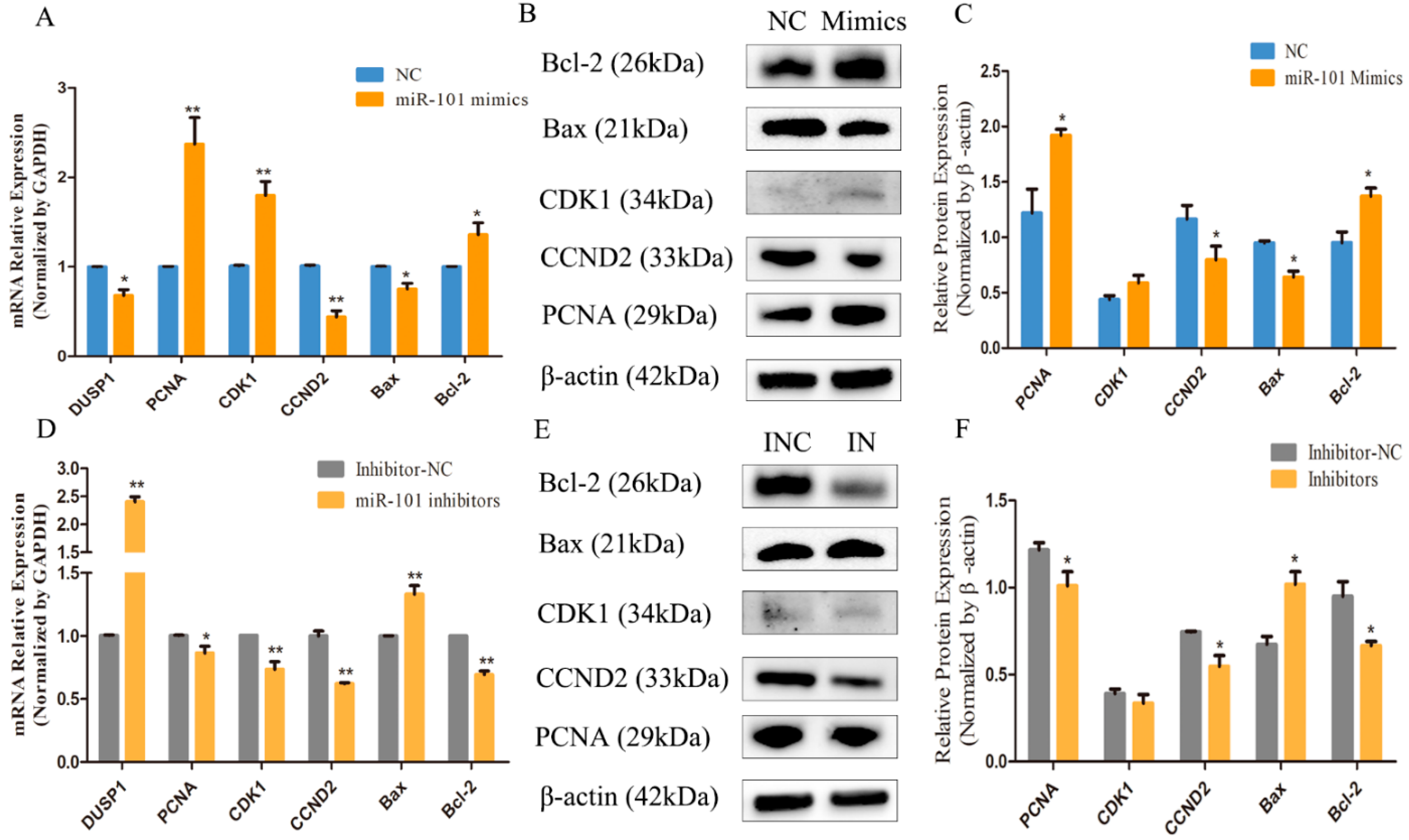 Genes 13 01035 g004 Genes 13 01035 g004