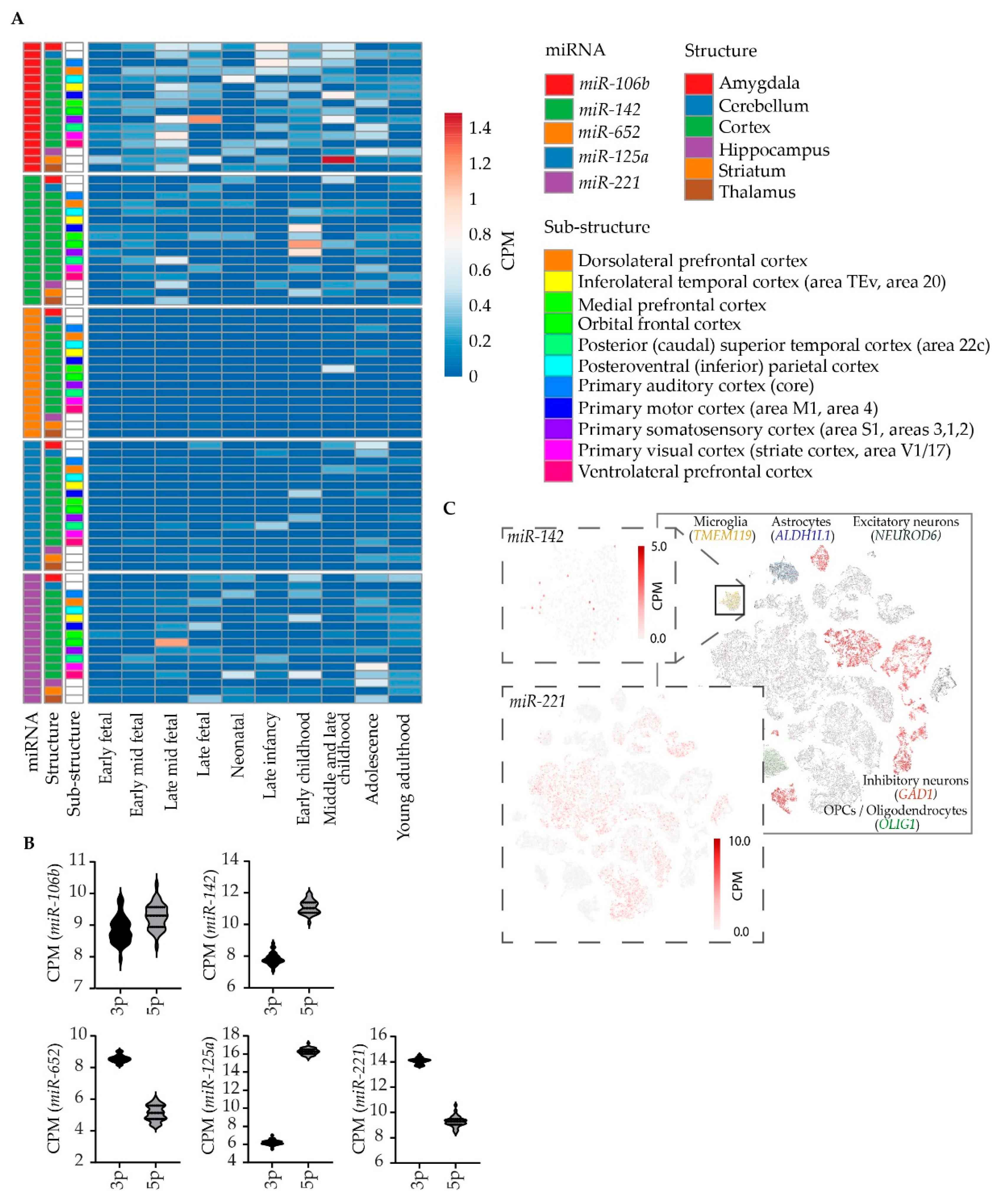 Genes 13 01038 g003 550