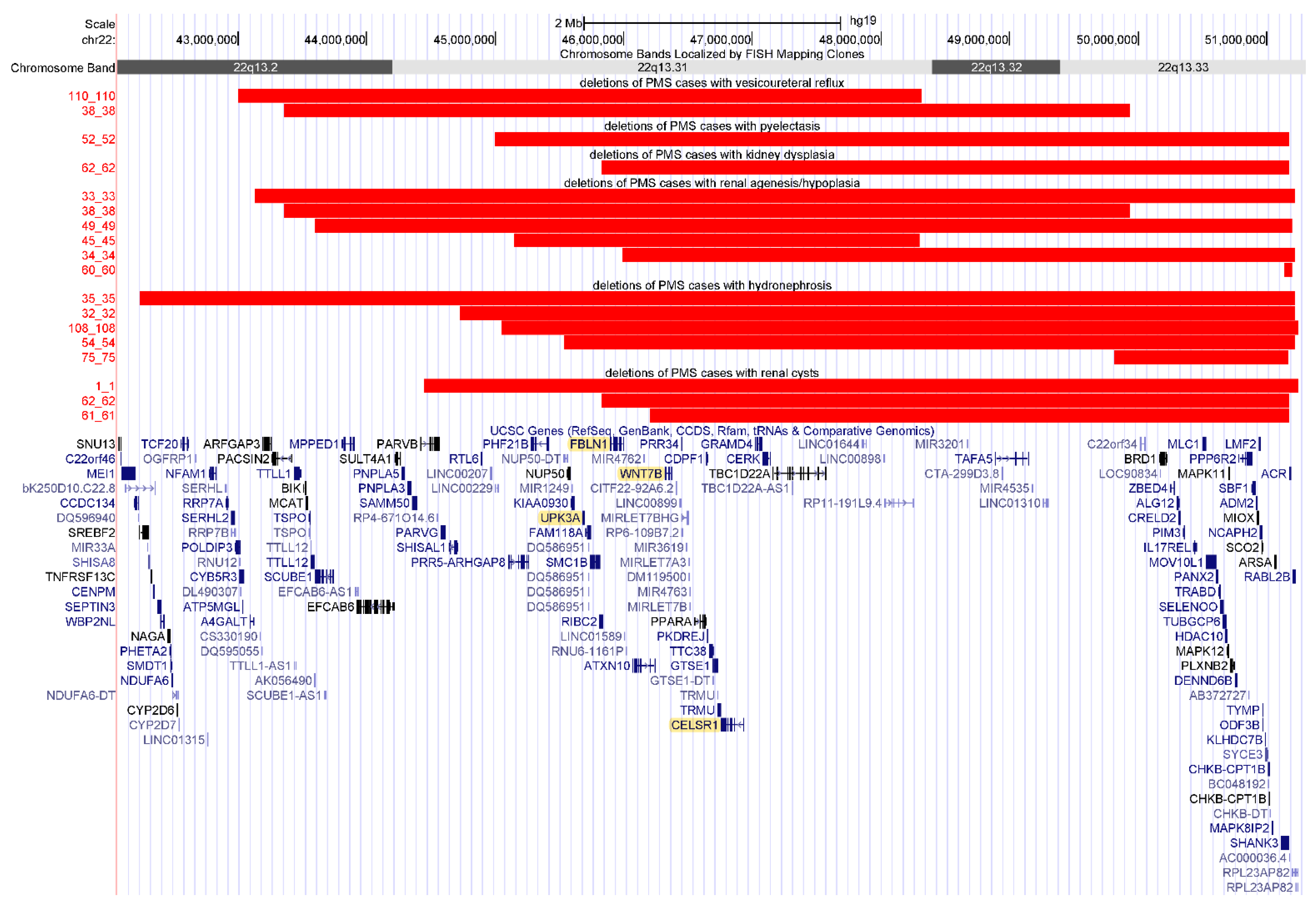 Genes 13 01042 g002 Genes 13 01042 g002