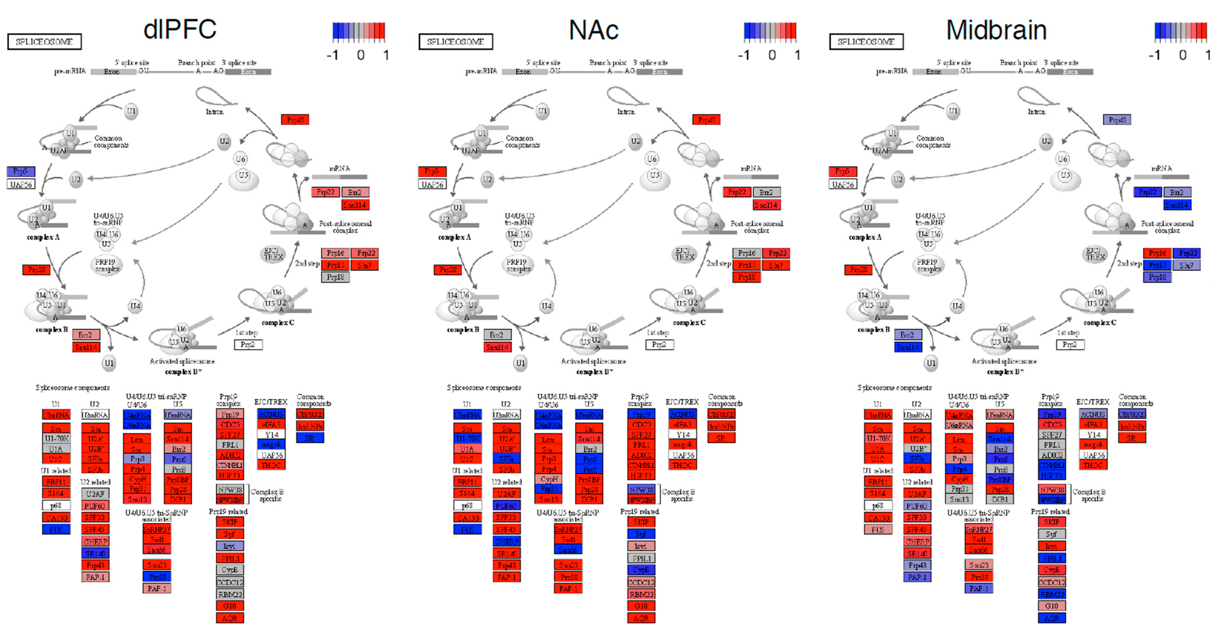 Genes 13 01045 g005 Genes 13 01045 g005